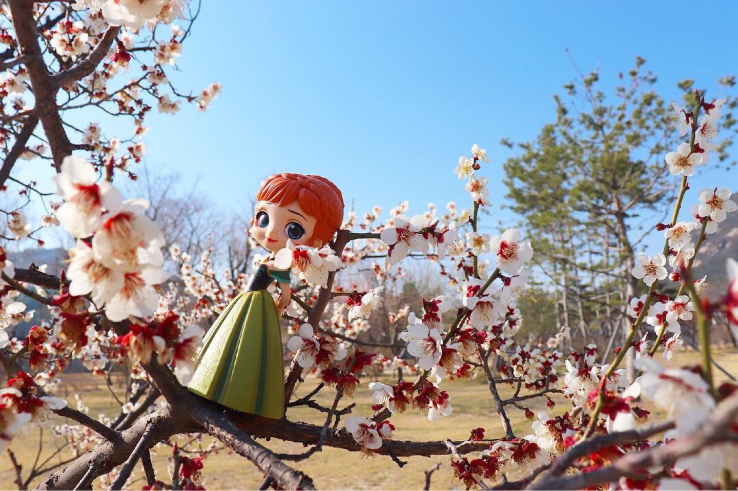 궁궐에 간 엘사안나