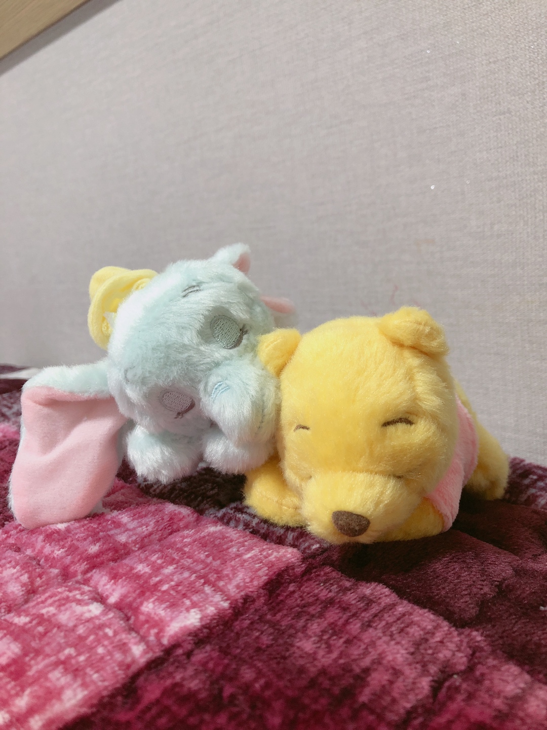 코 자는 푸와 덤보❤️