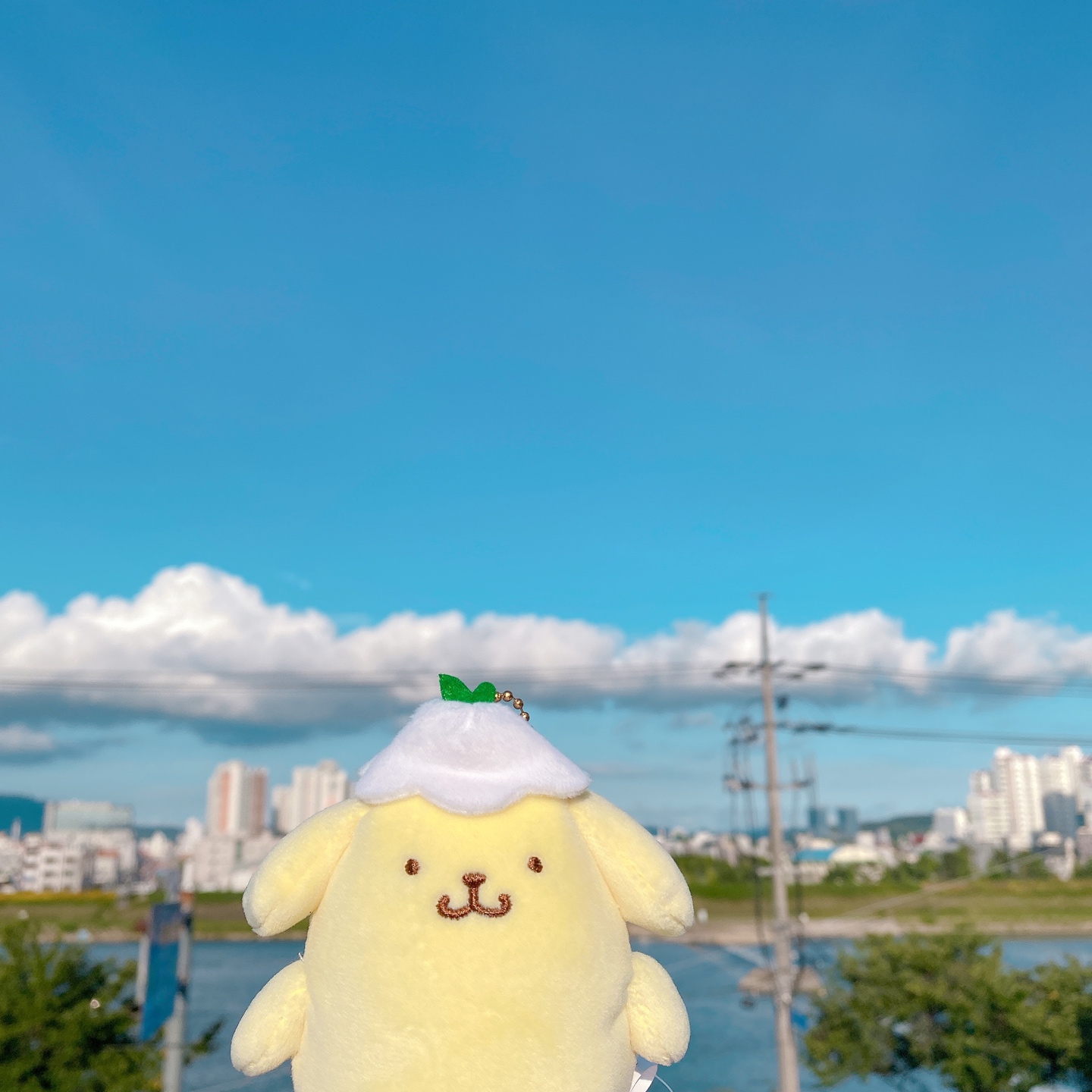 꽃모자 쓴 폼폼푸린