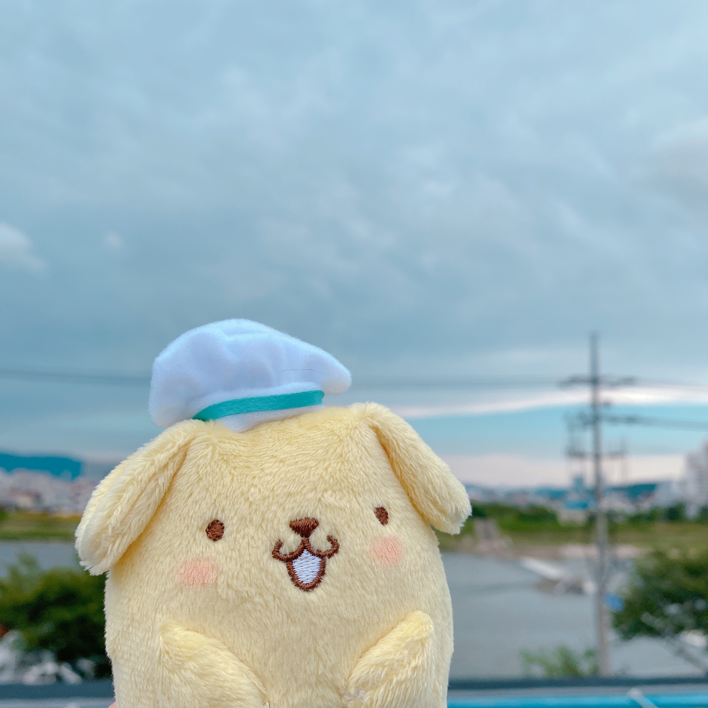 오늘은 내가 요리사