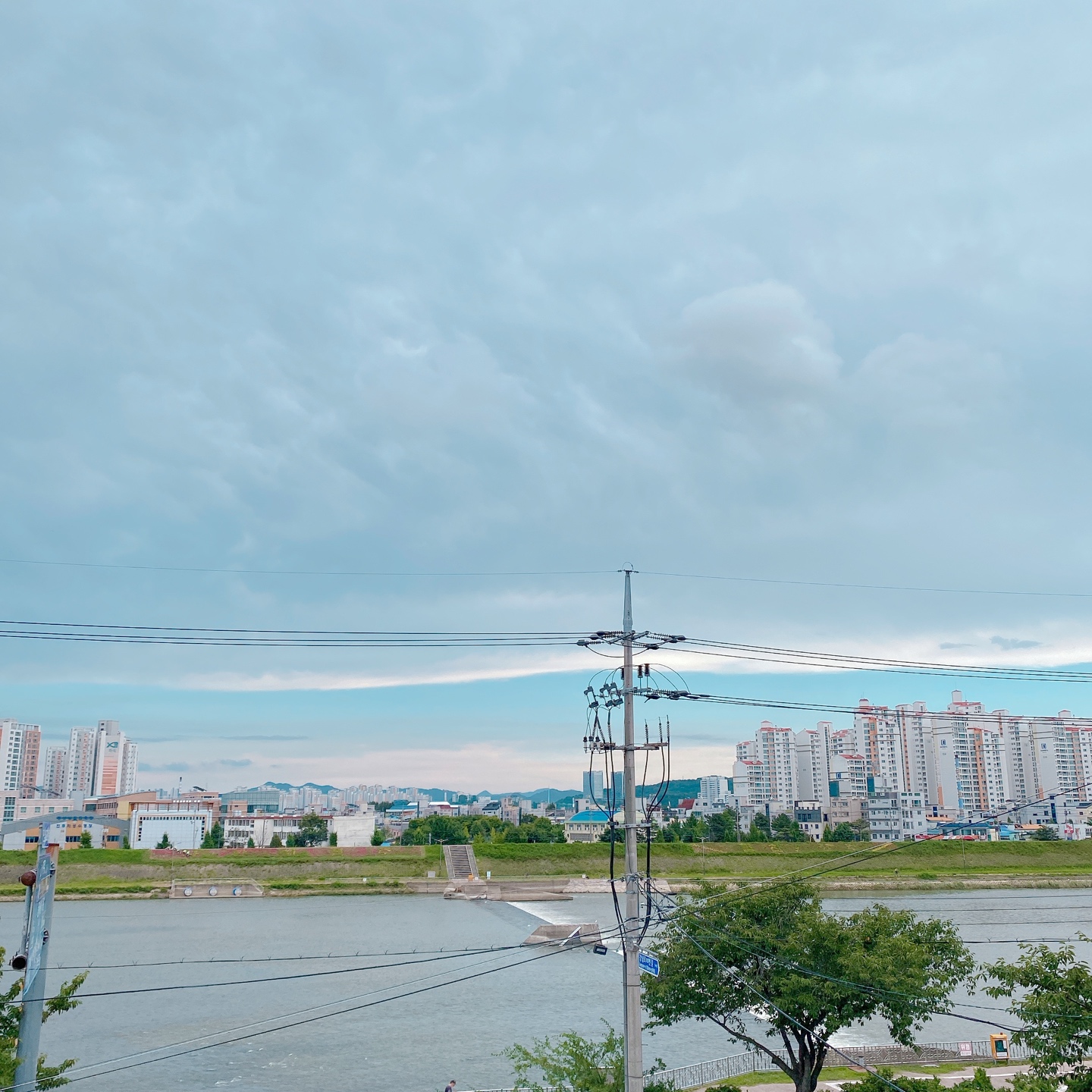 오늘은 내가 요리사