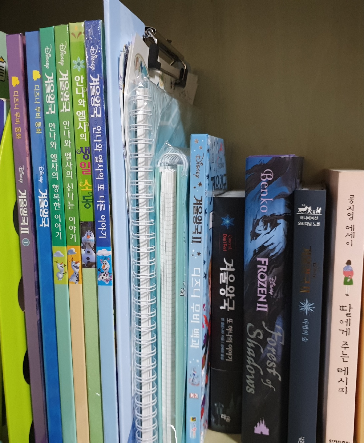 겨울왕국 책모음!