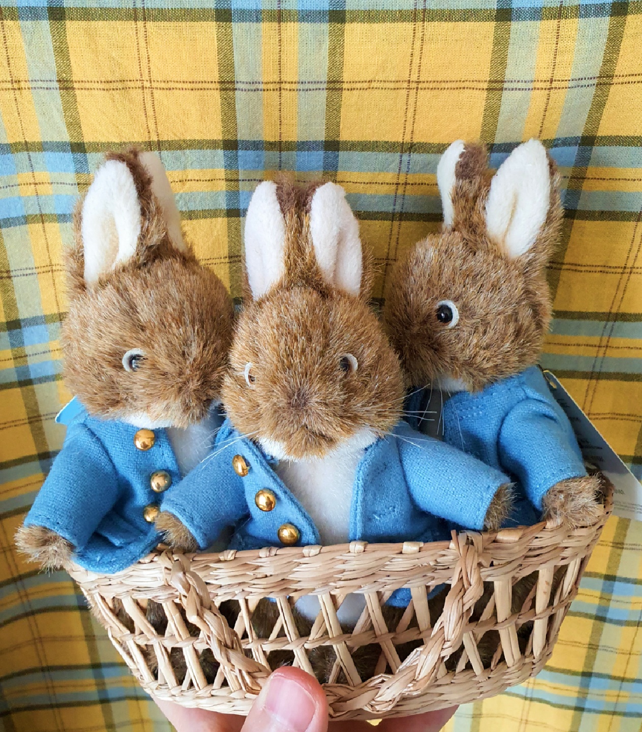 Petter Rabbit 🐇