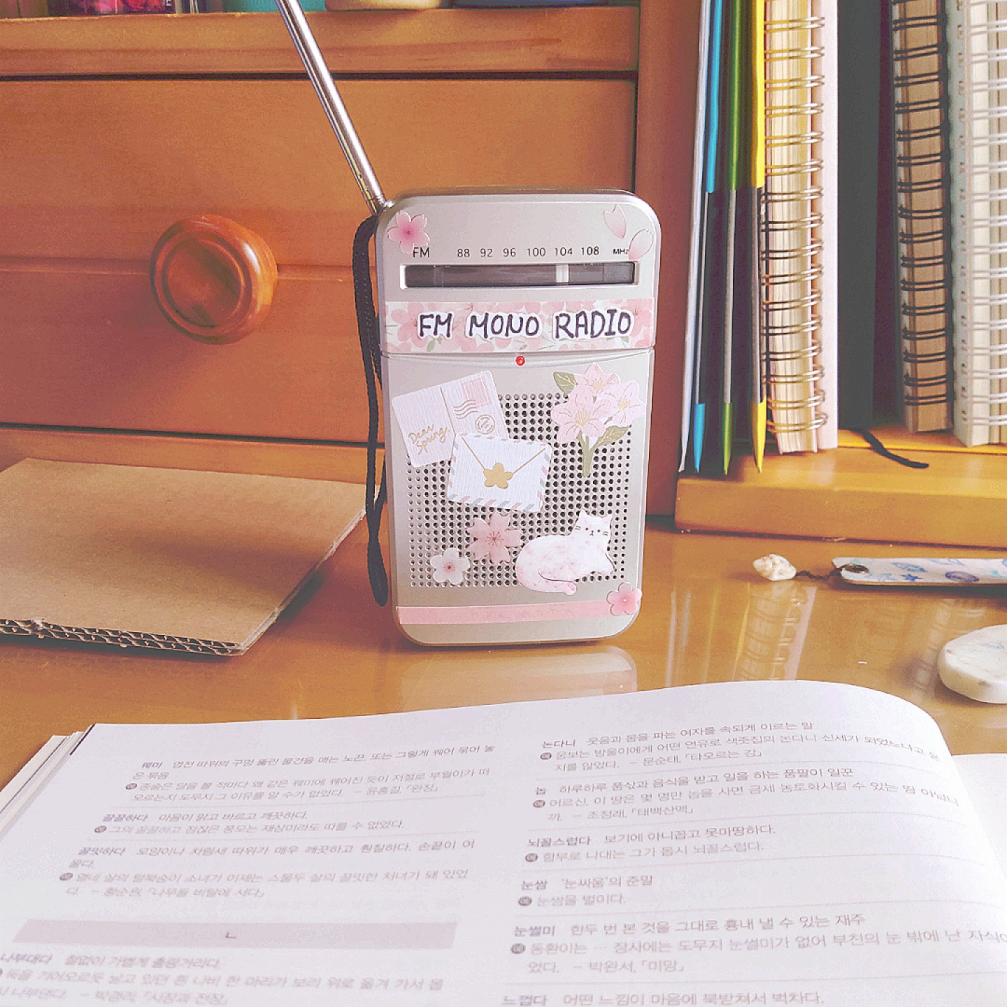 💜다이소 라디오📻