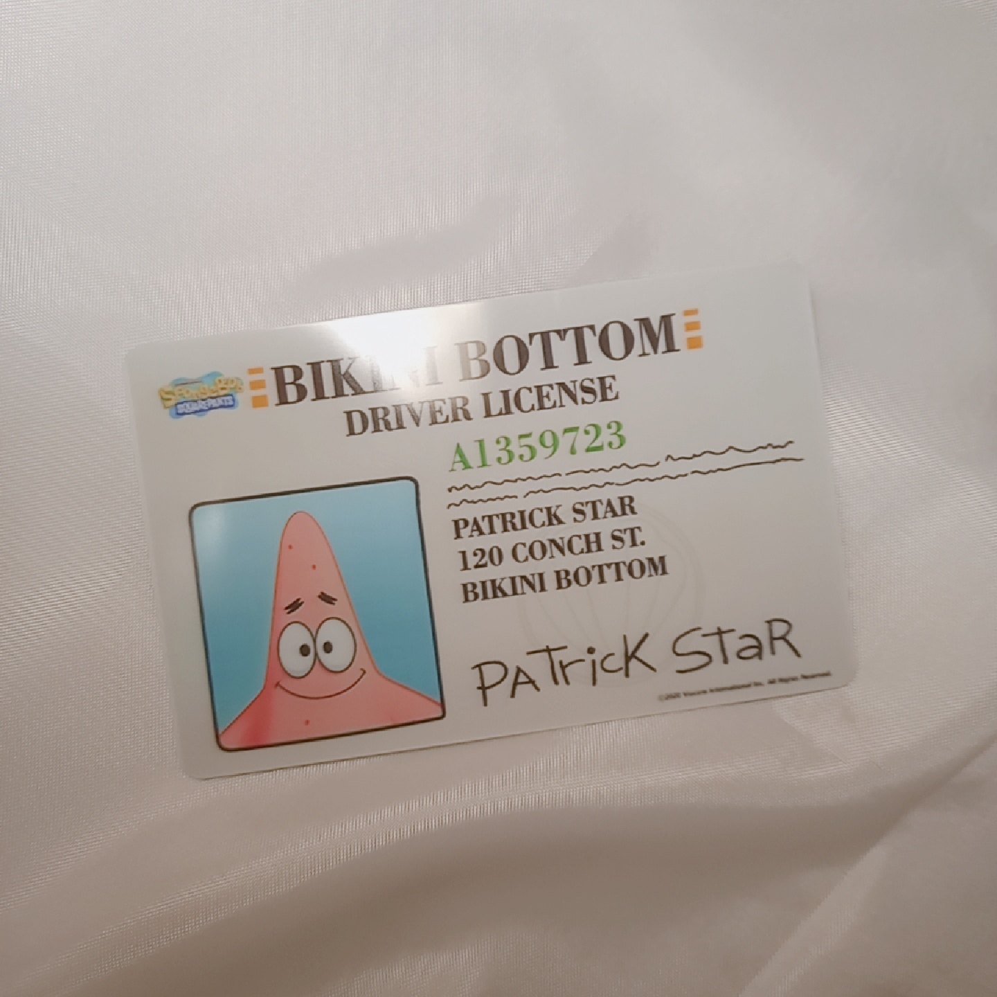 뚱이 운전면허증