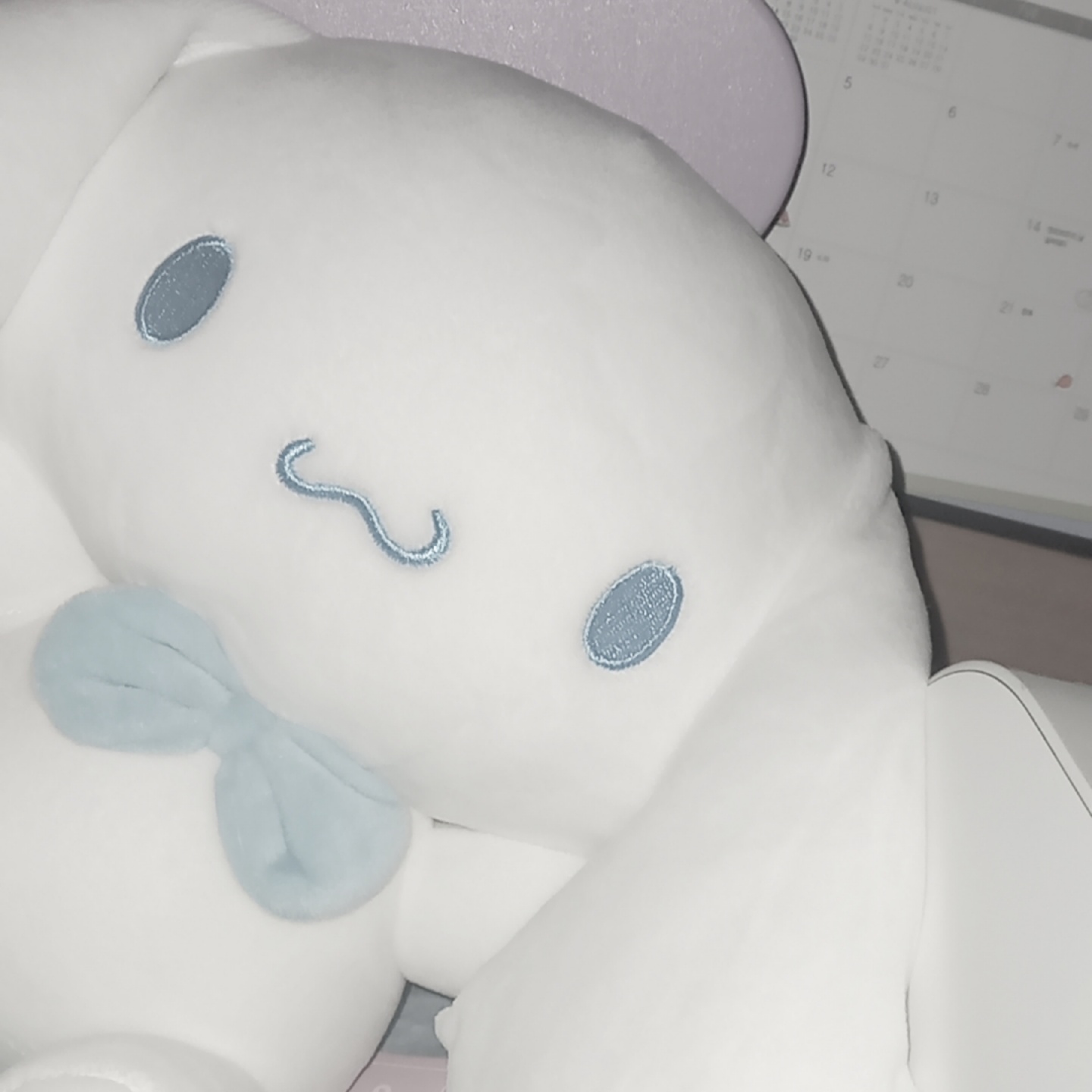 새벽에 찍은 시나모롤 👻