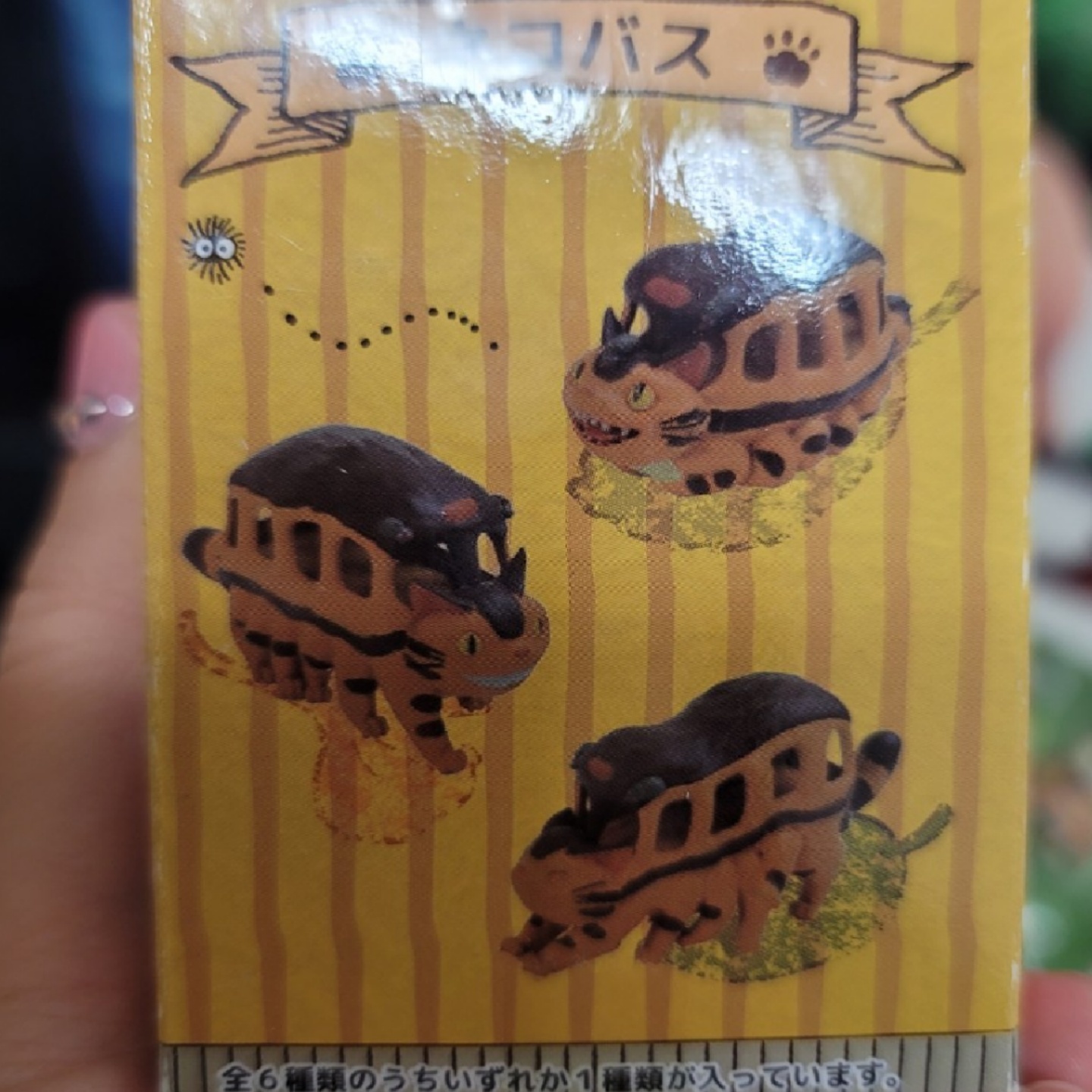 고양이 버스