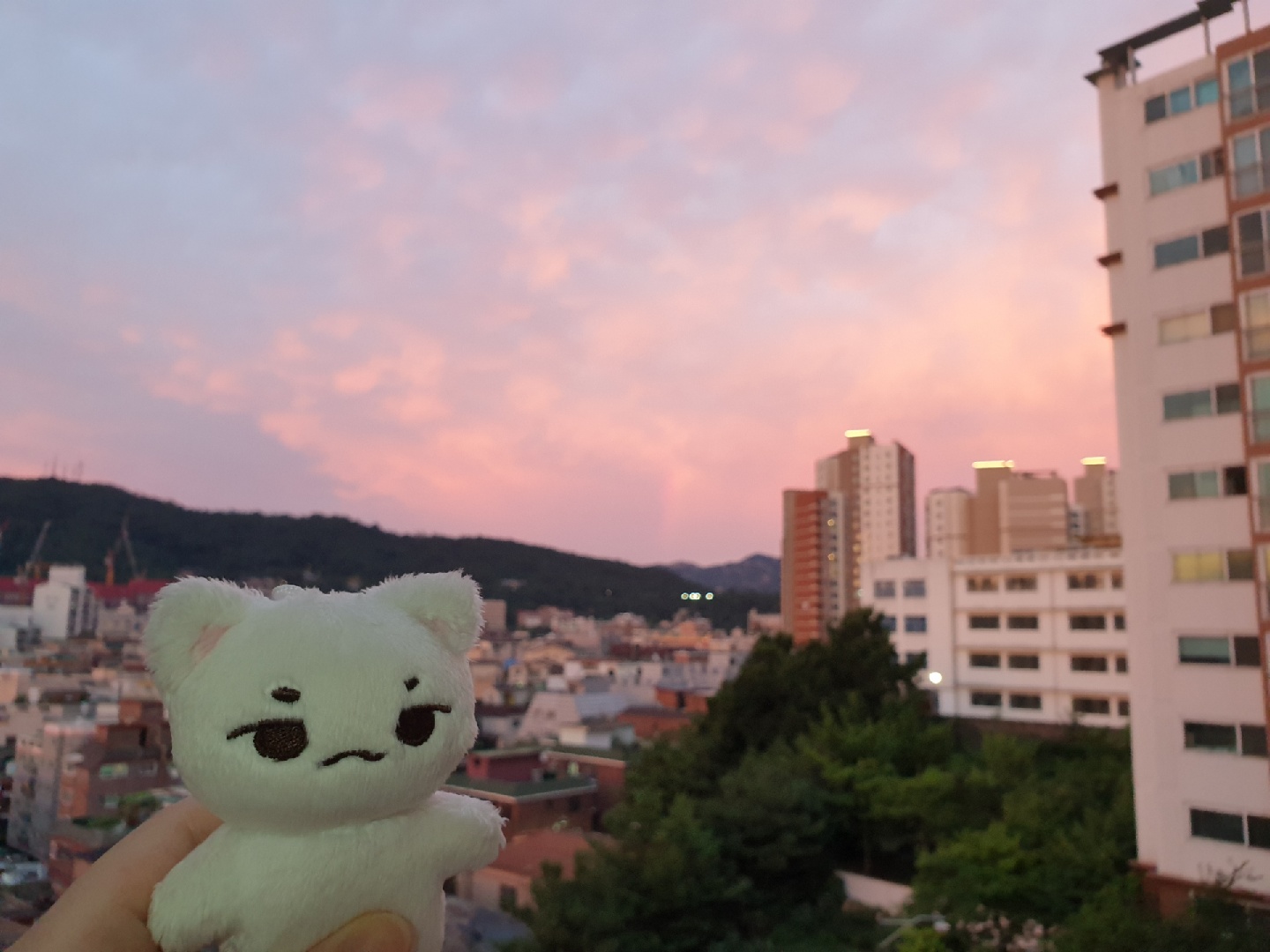 분홍하늘과 뾰냥이