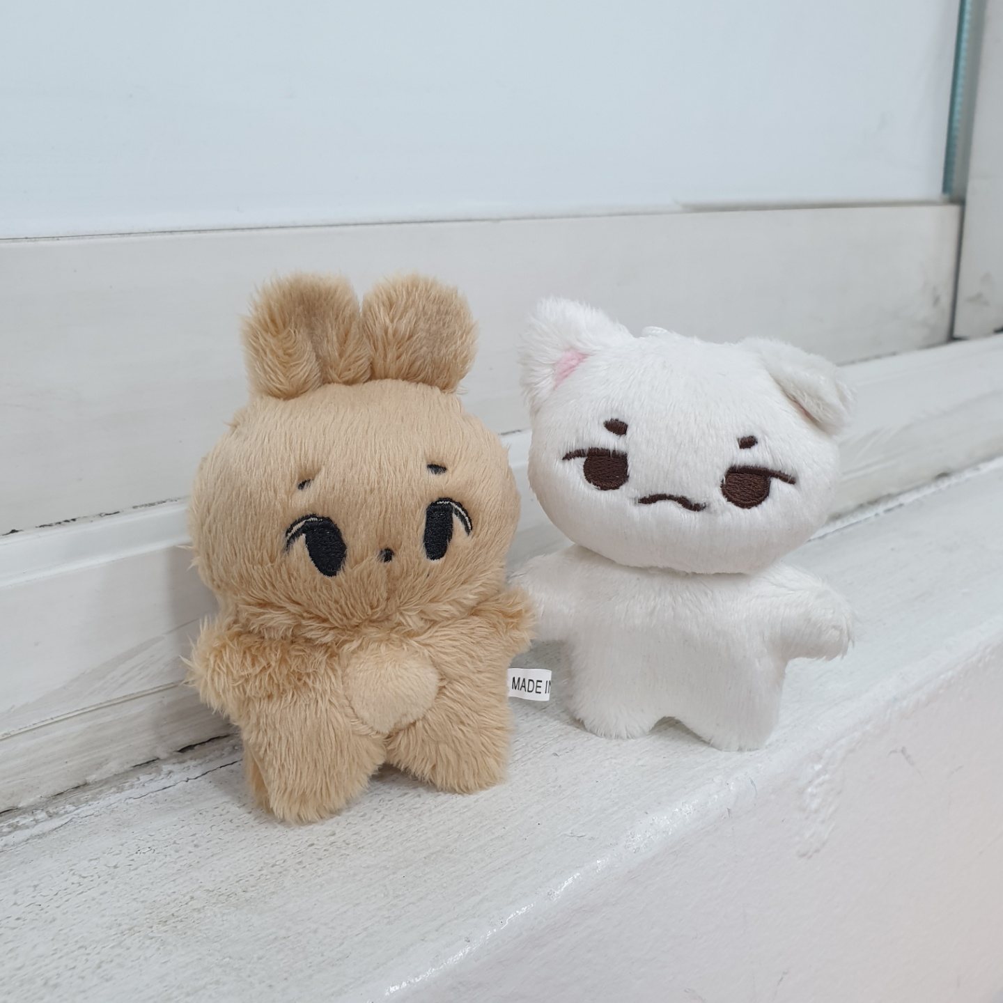 겸비비와 뾰냥이 🐰🐱