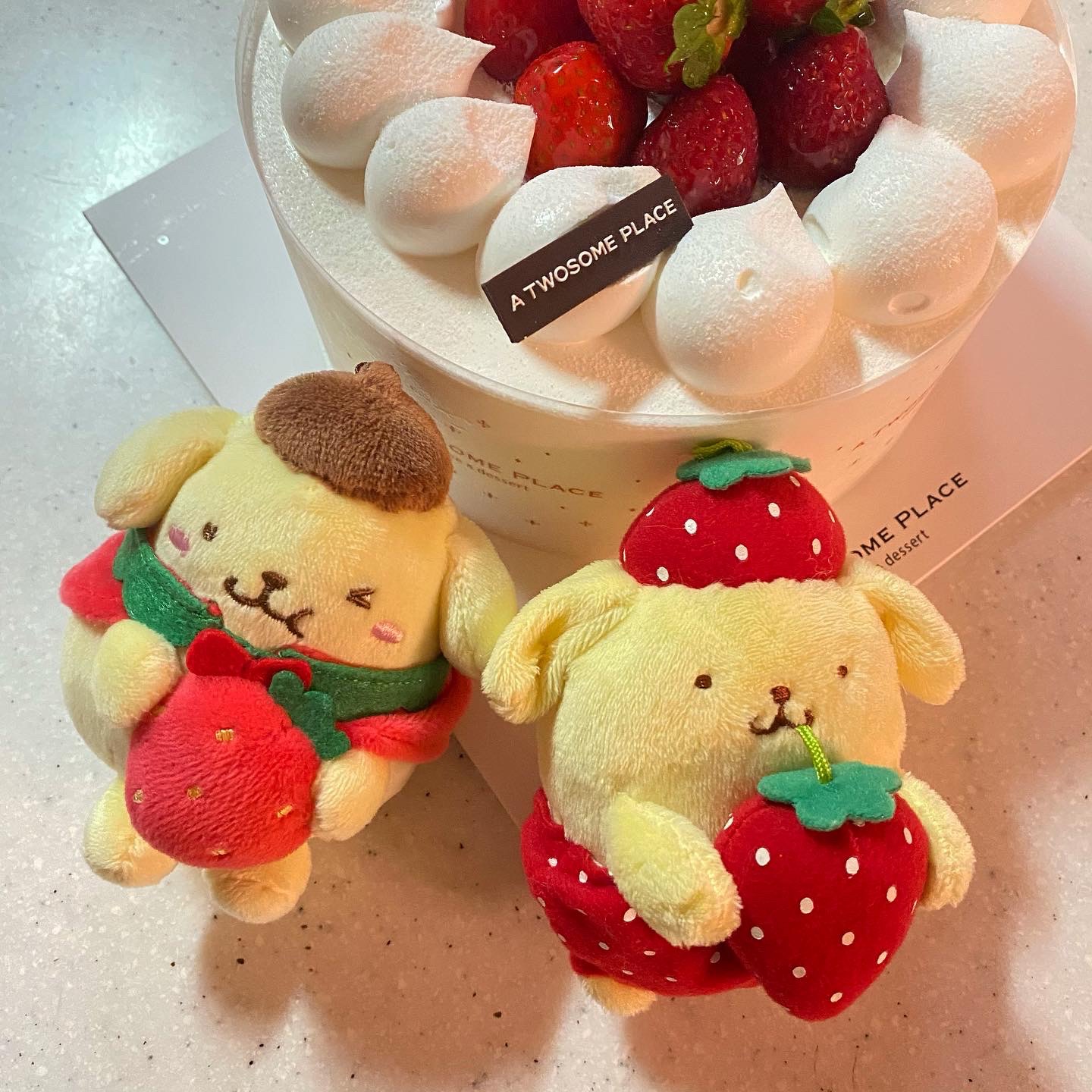 딸기 폼폼푸린🥰❤️