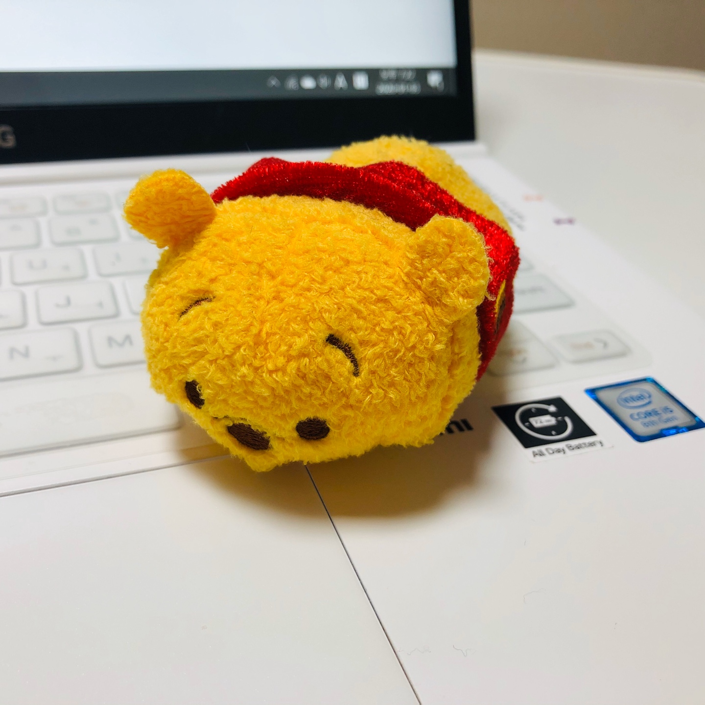 곰돌이 푸(Pooh) 인형