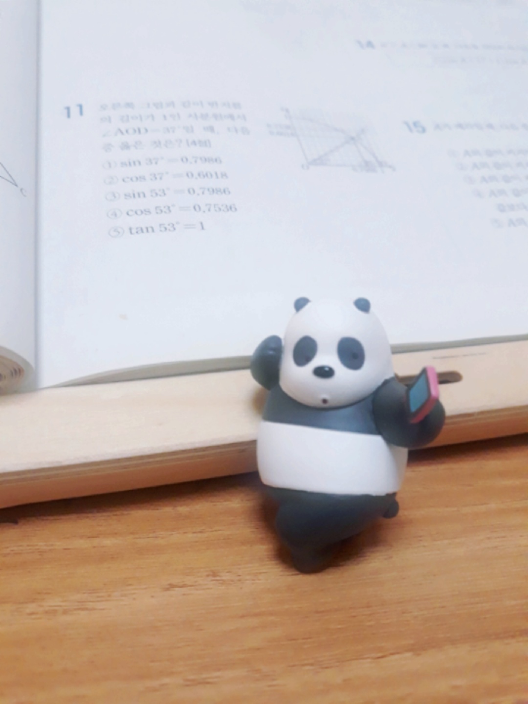 찰칵