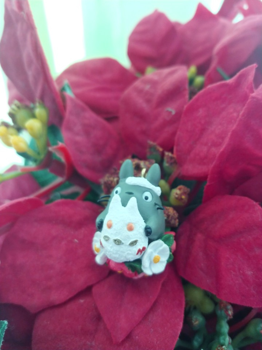 🌺