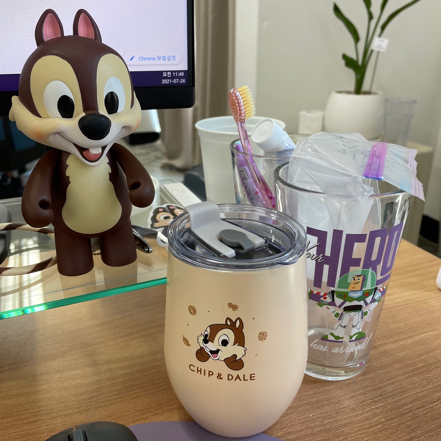 칩칩 초코칩칩 🤎