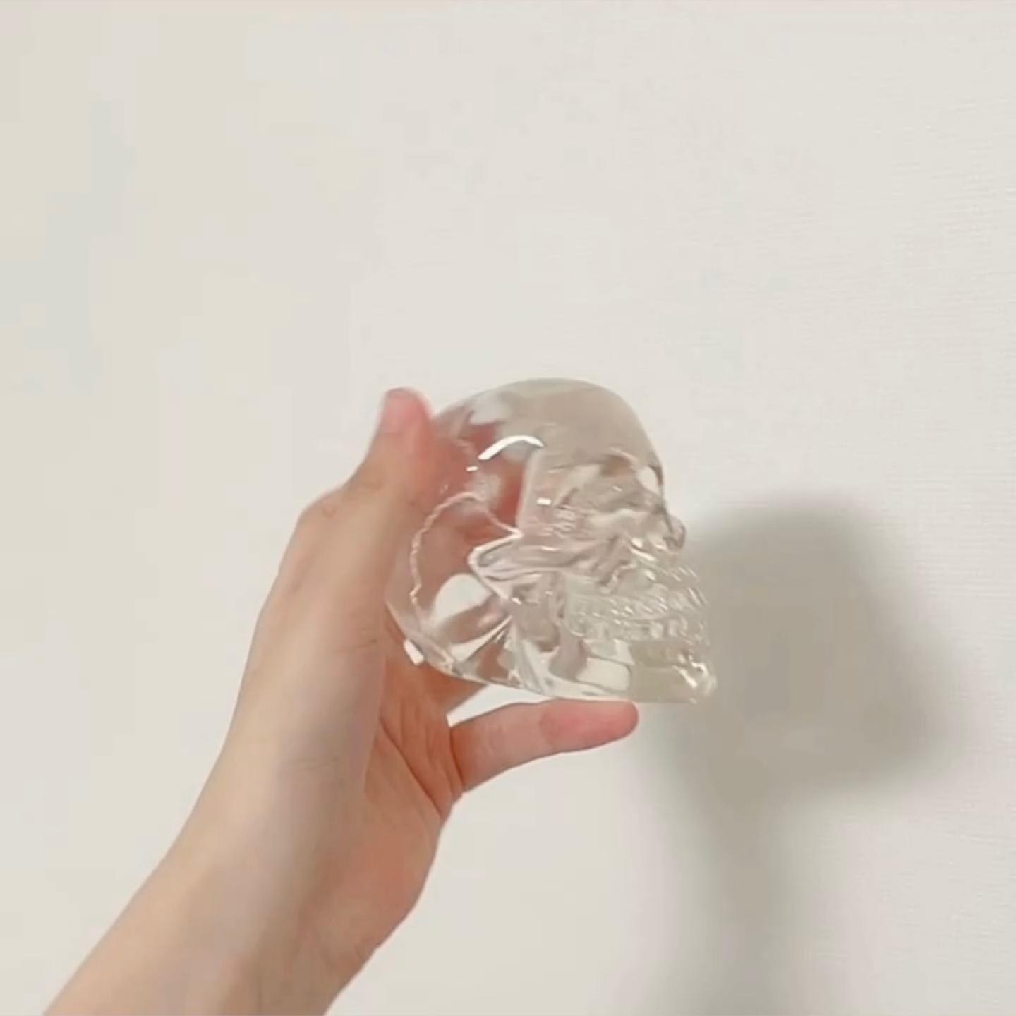 보긴앤버크 크리스탈 해골