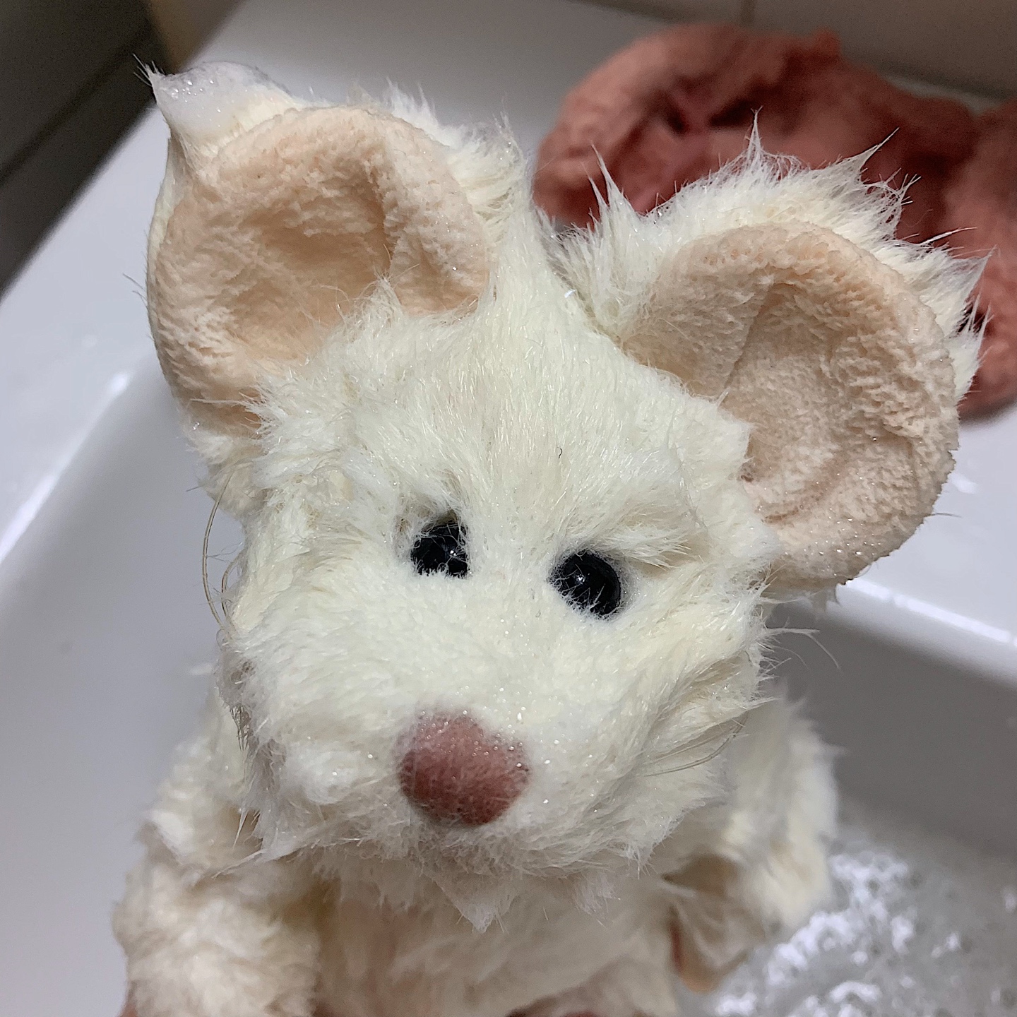 보이즈🐭