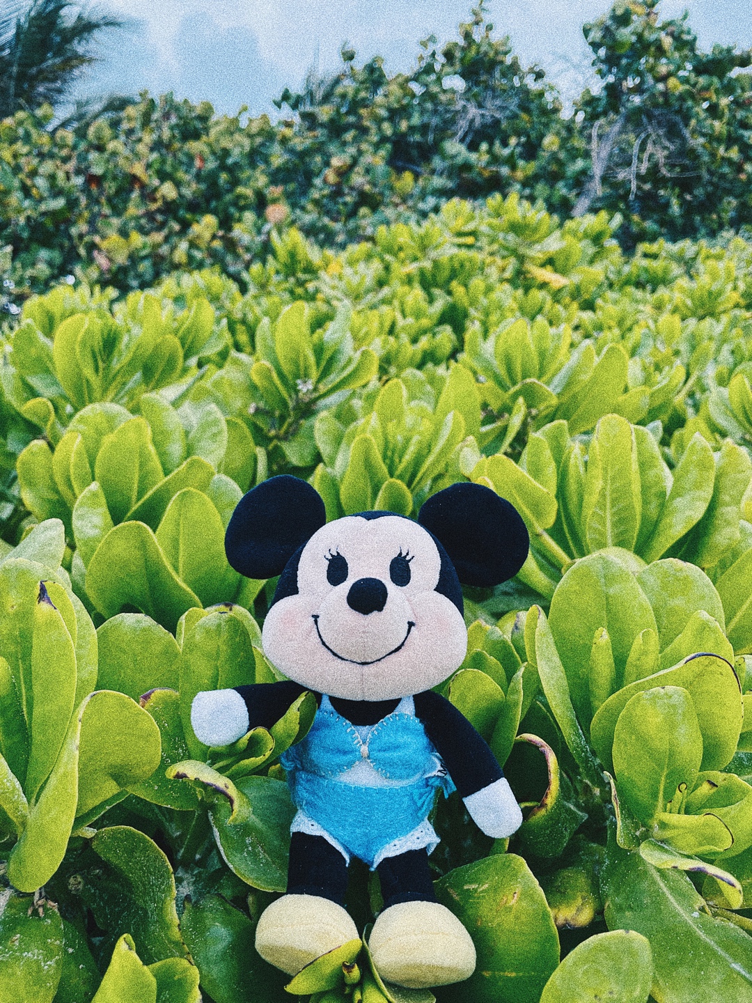 😊