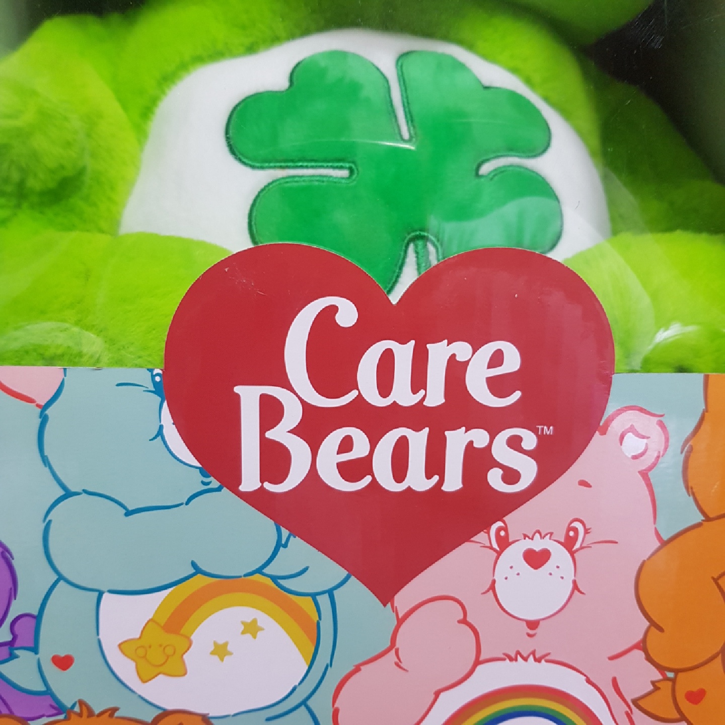 💚새로 데려온 칭구💚