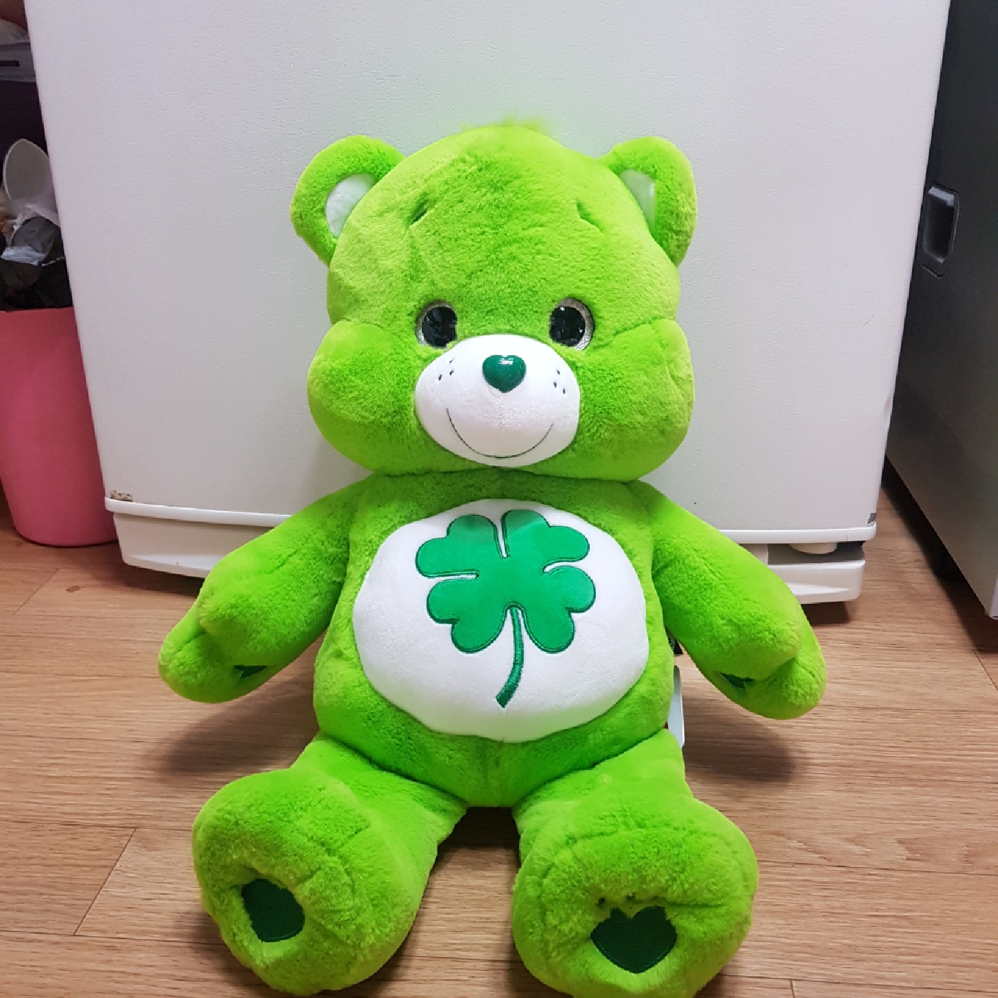 💚새로 데려온 칭구💚