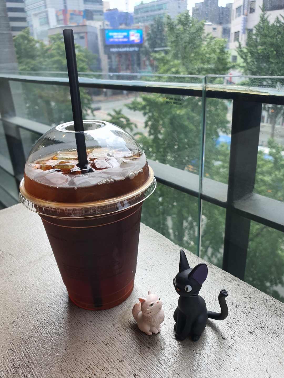 ♡검은고양이 지지♡
