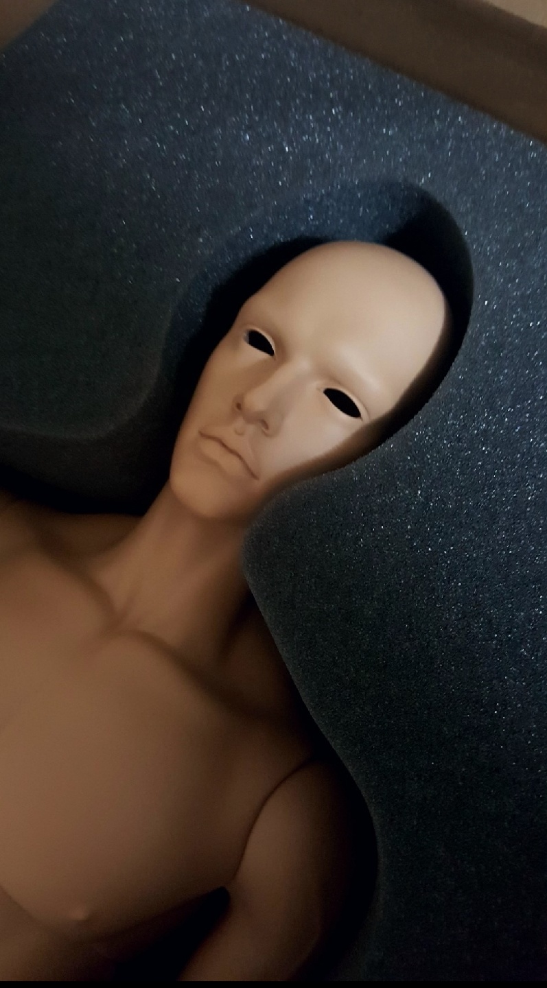 이플하우스 렉스