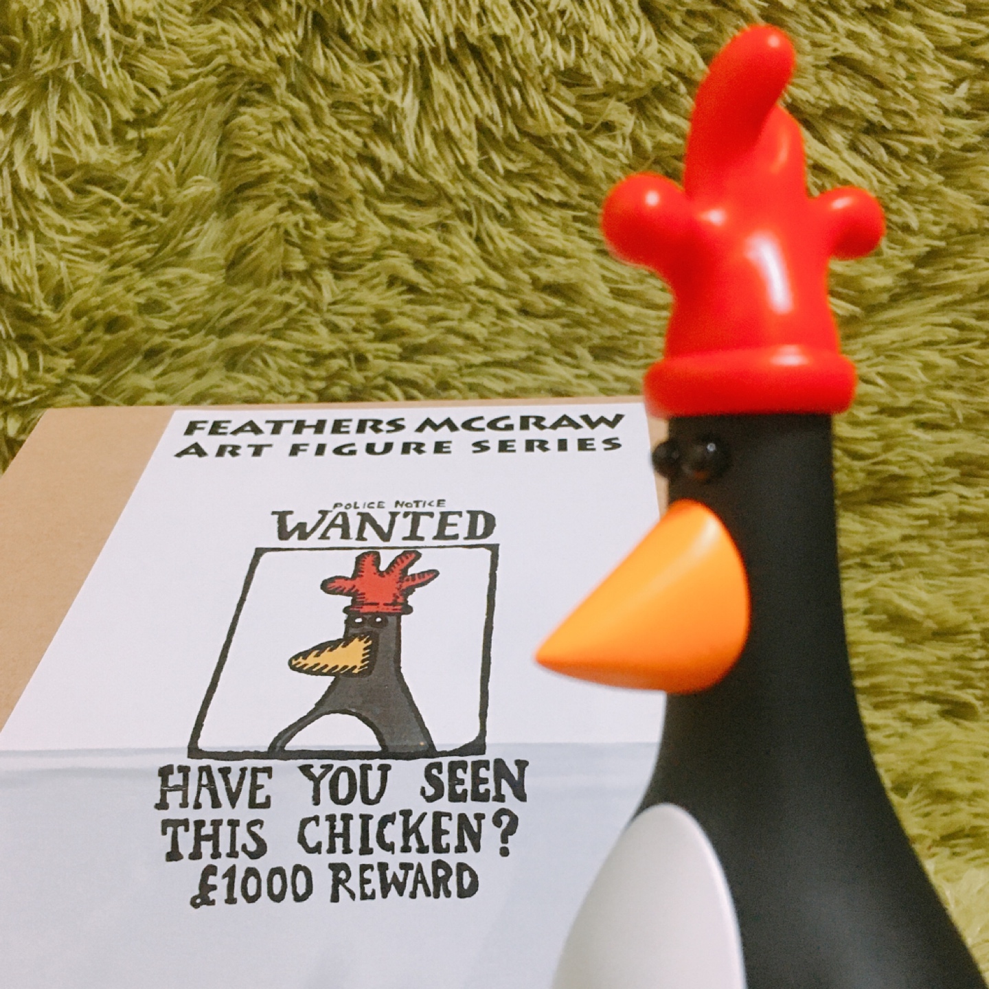 feathers mcgraw