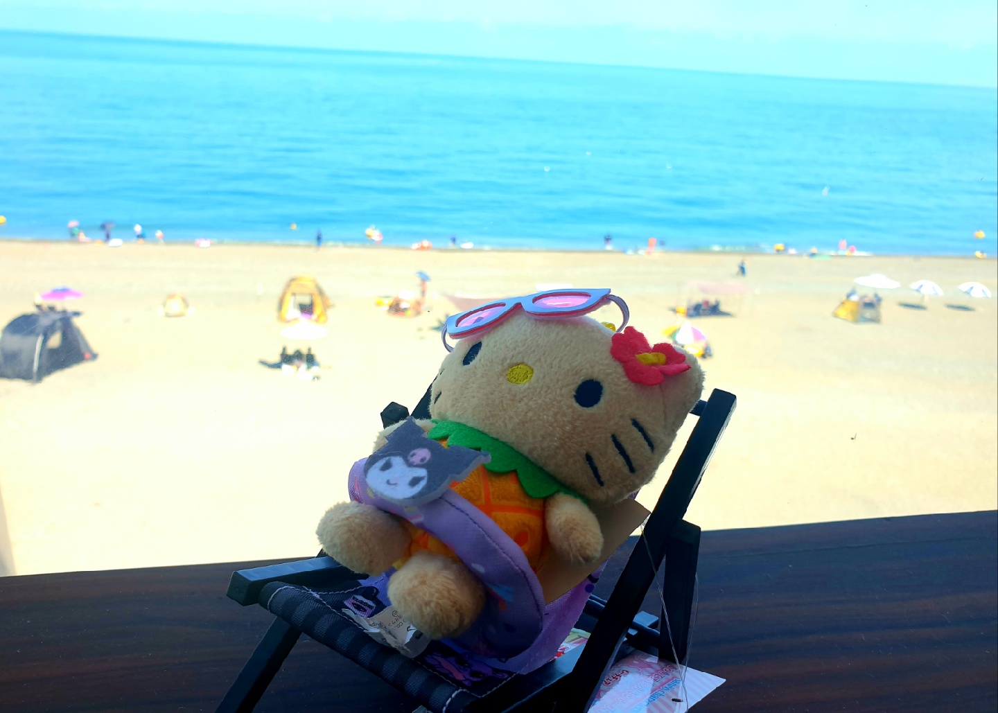 썬텐키티😎