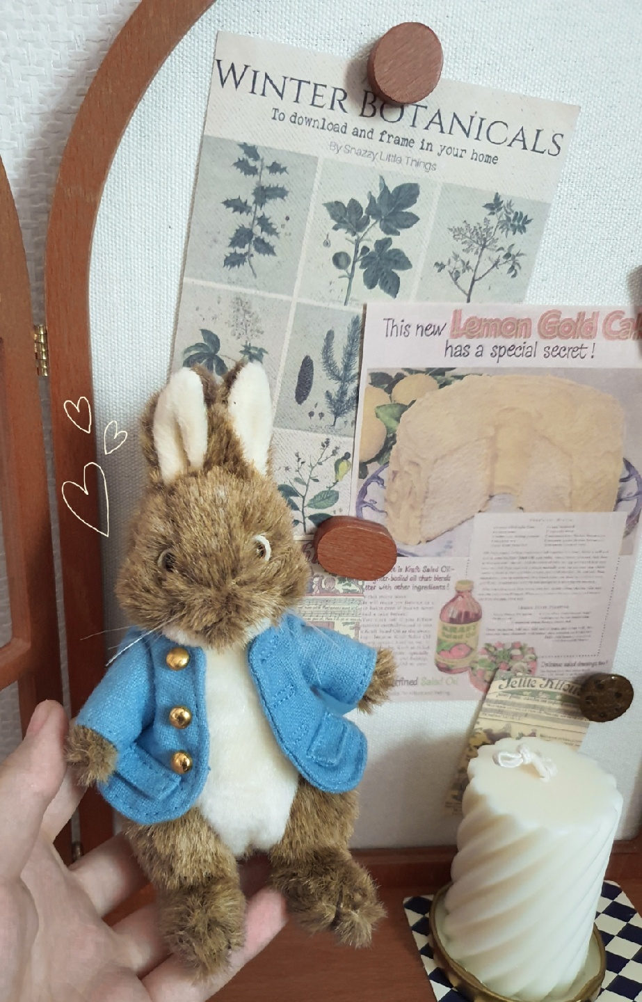 Petter Rabbit ♡