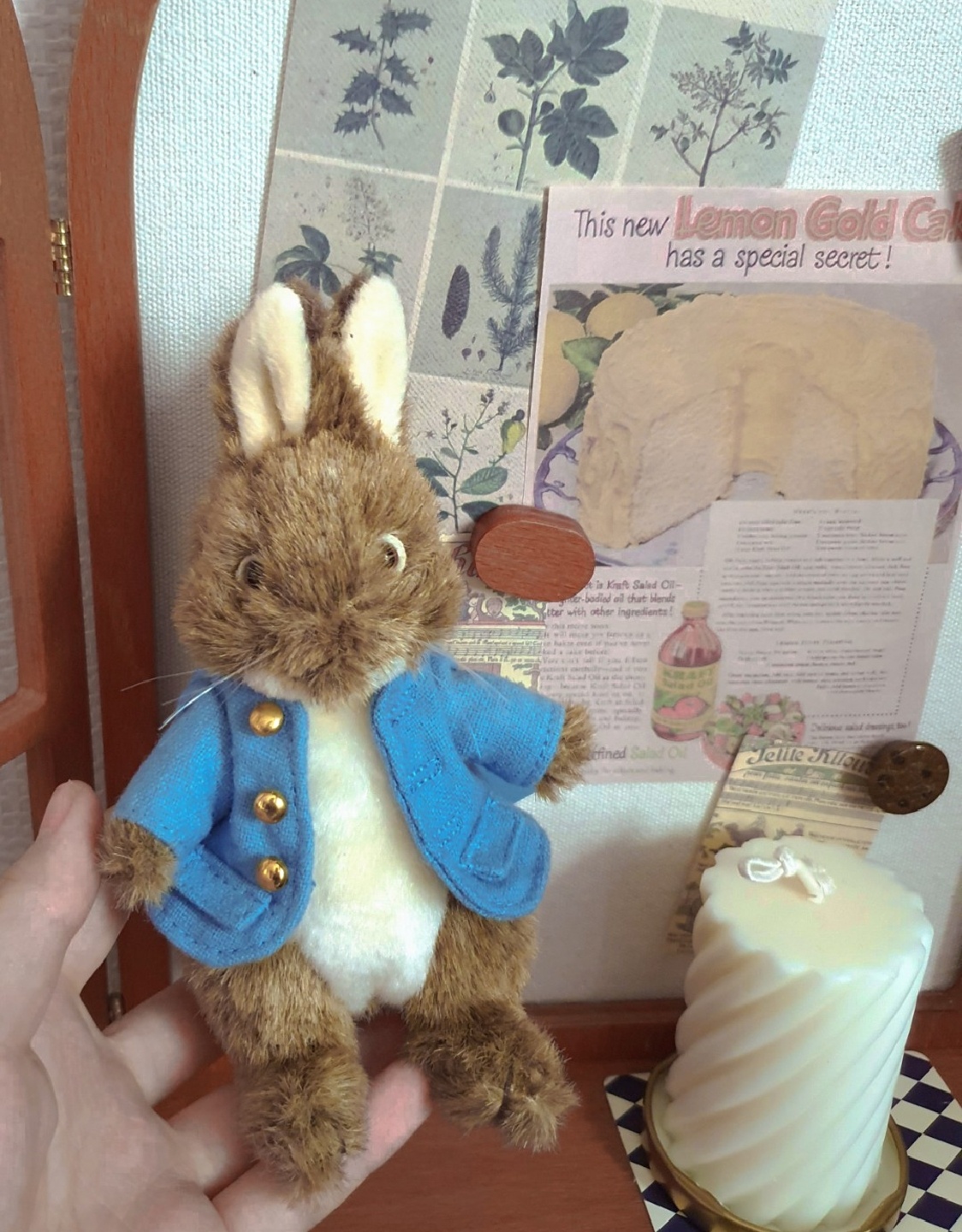 Petter Rabbit ♡