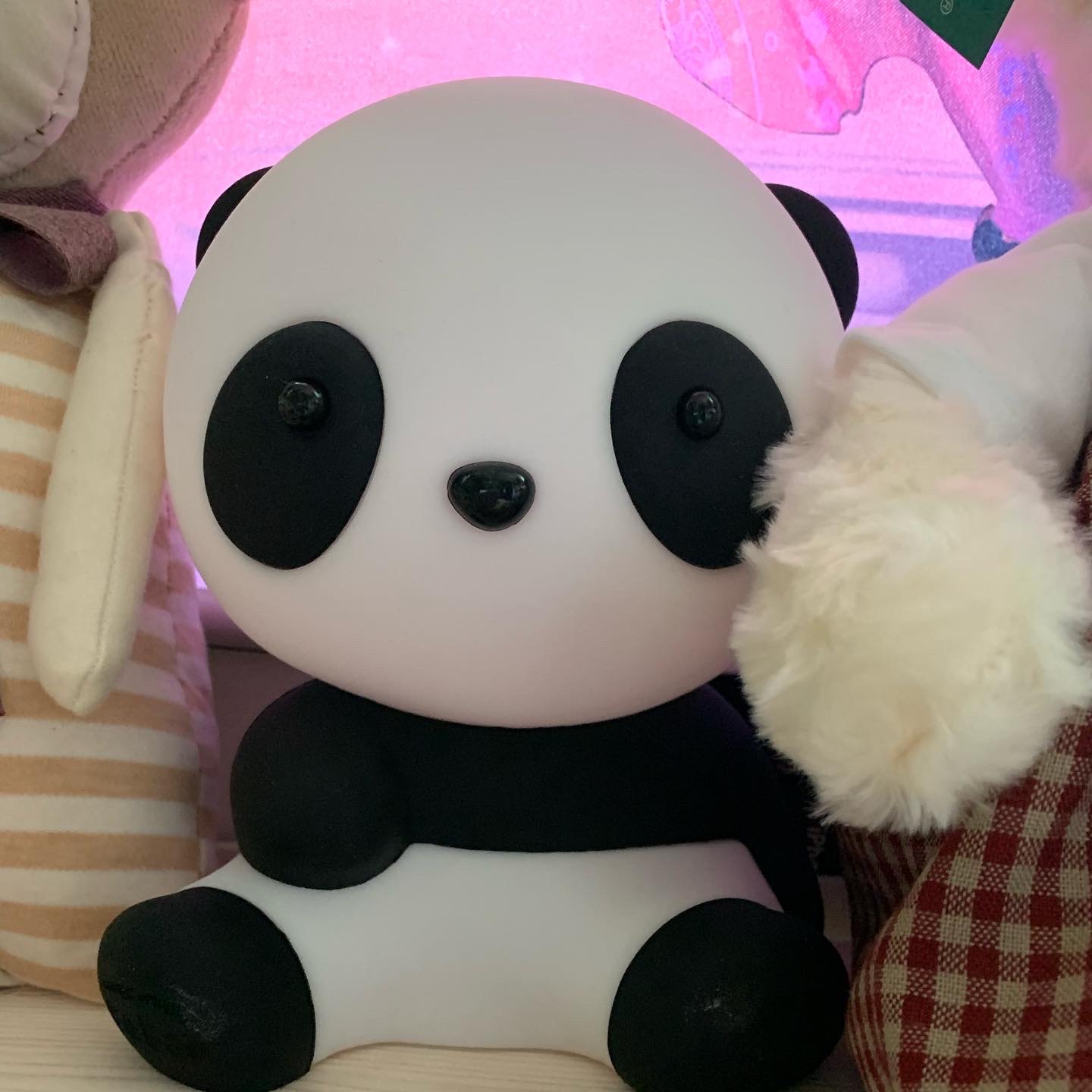 판다?!