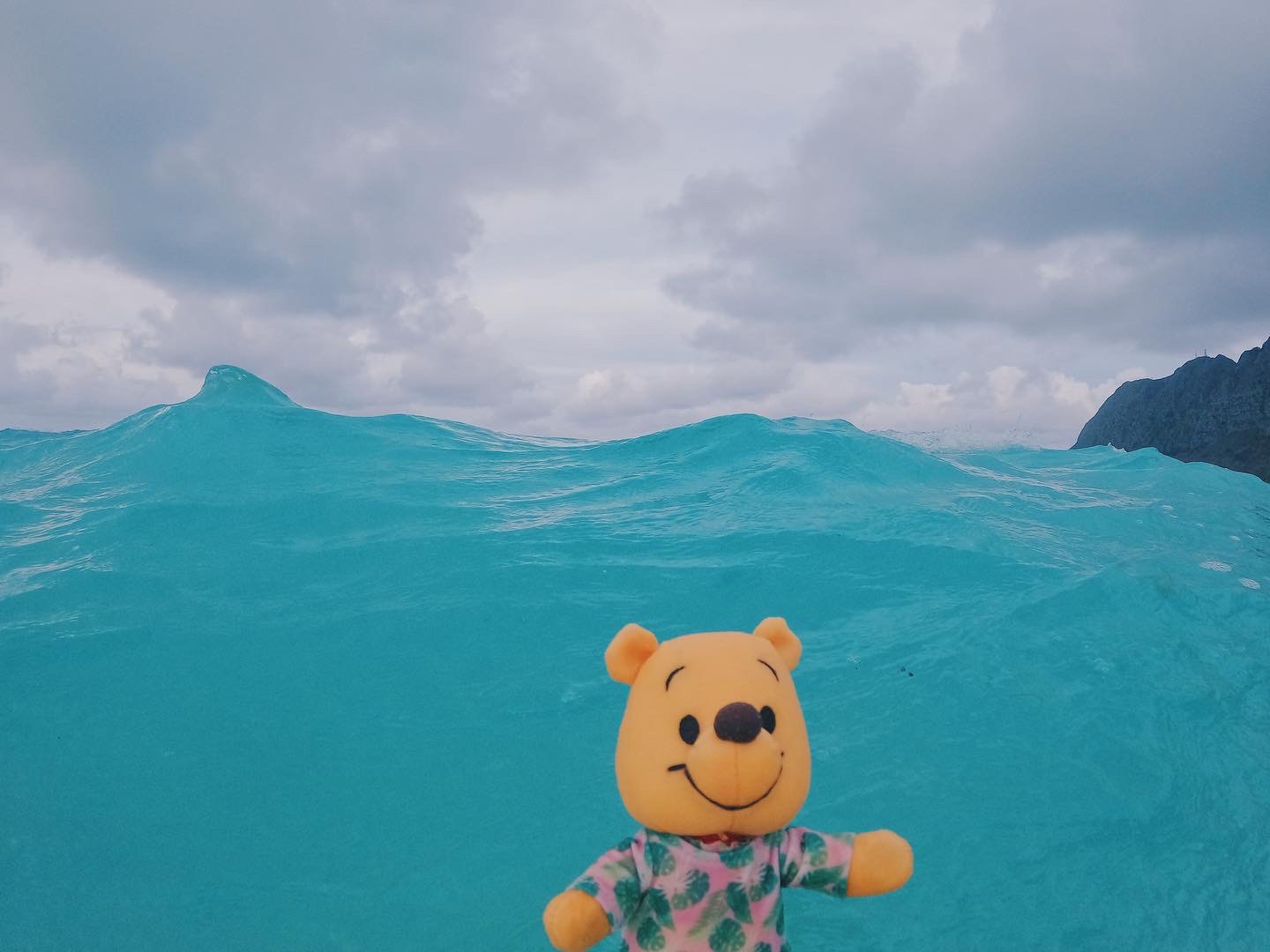 Swimming pooh💙
