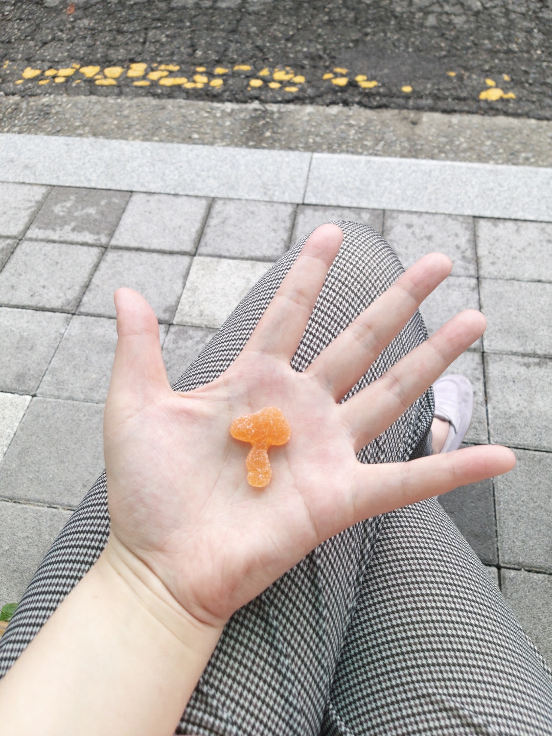 스누피 젤리