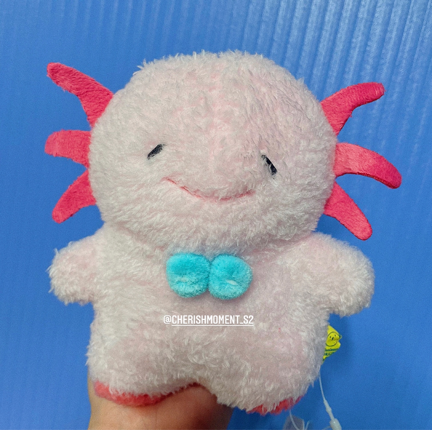 우파루파 탓똔이❤️