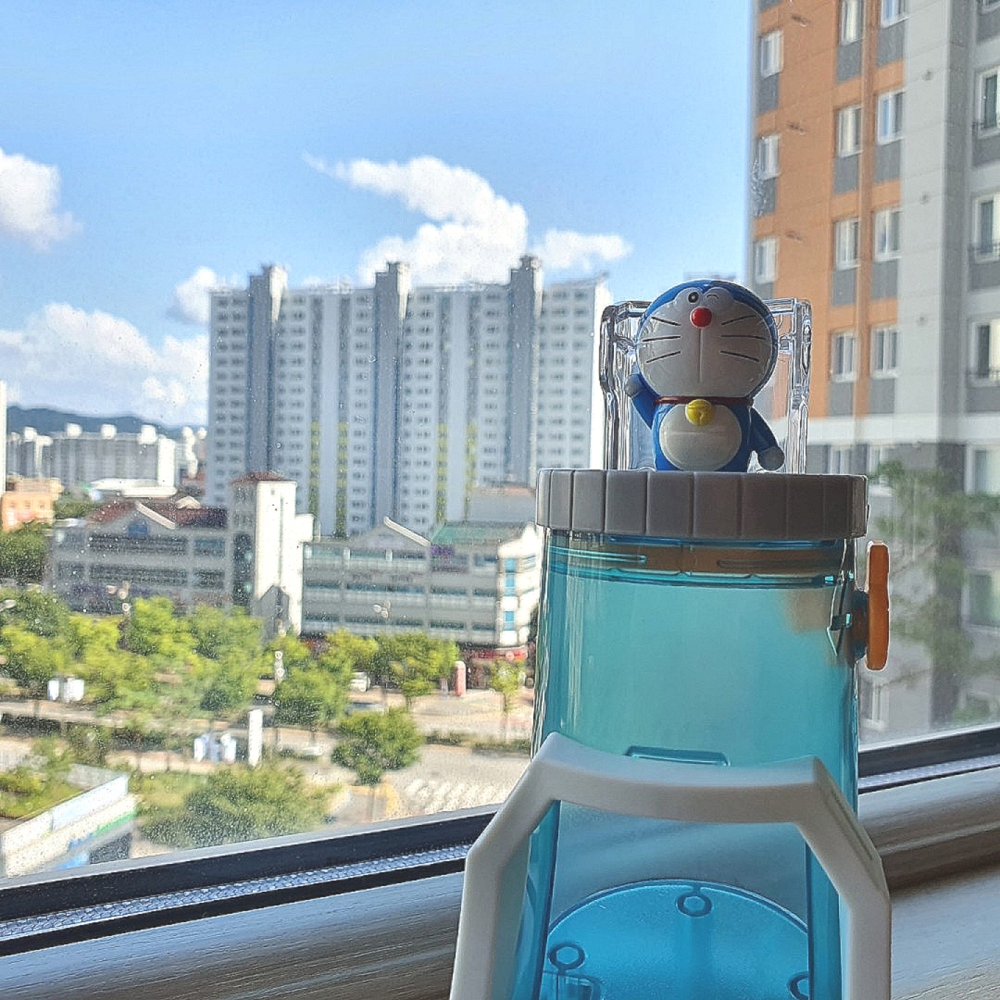 졸릴 땐 귀여운거💙