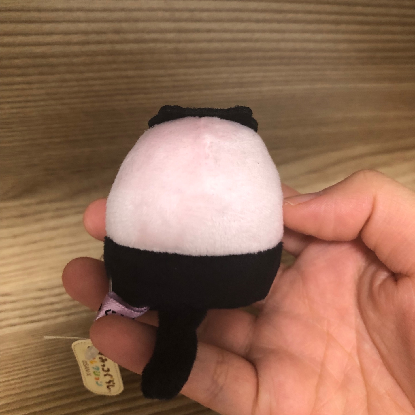 할로윈 타피오카 🖤