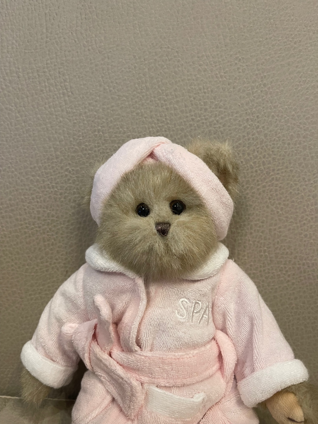 🐻💜