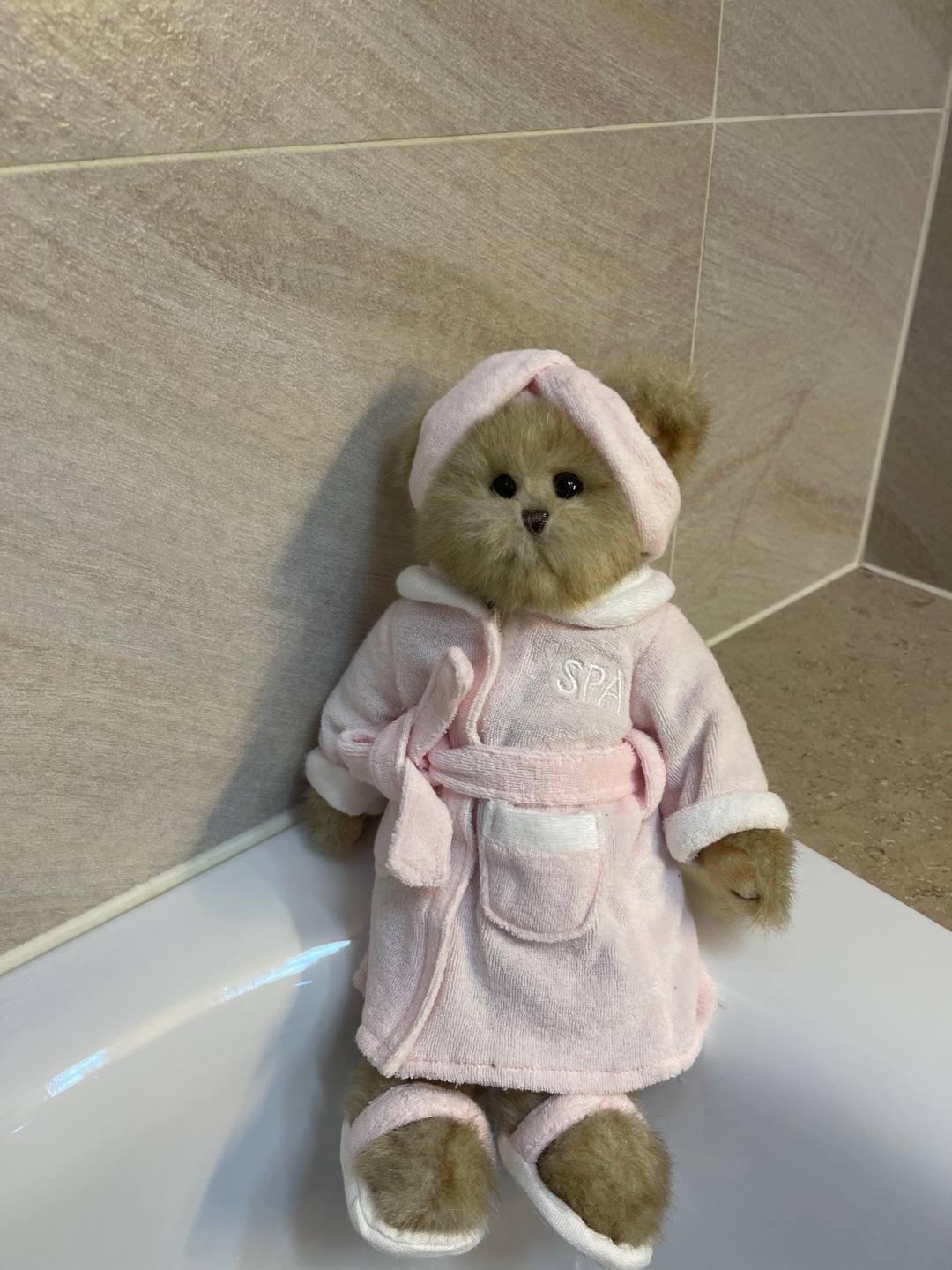 최애곰🐻