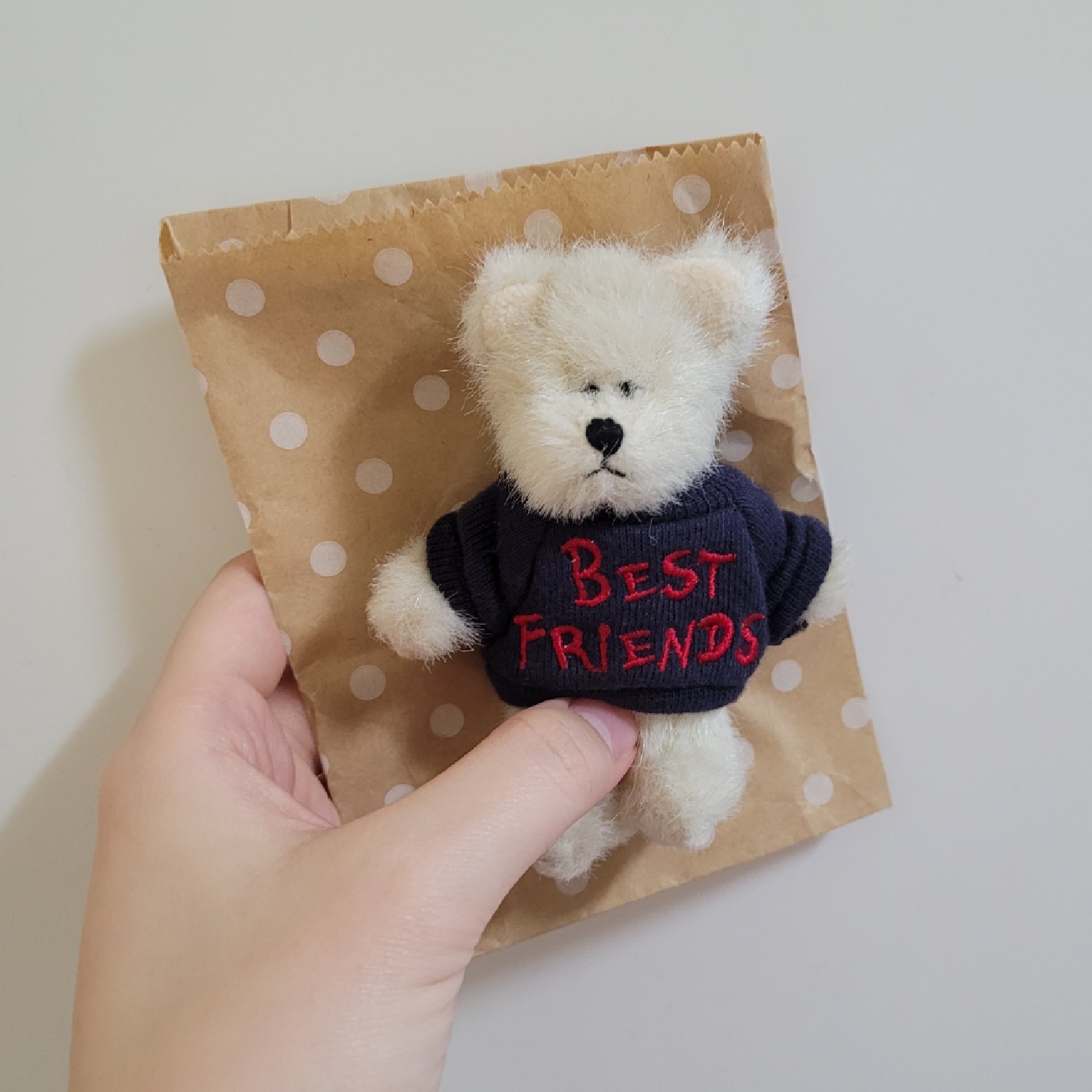 쪼꼬미🐻