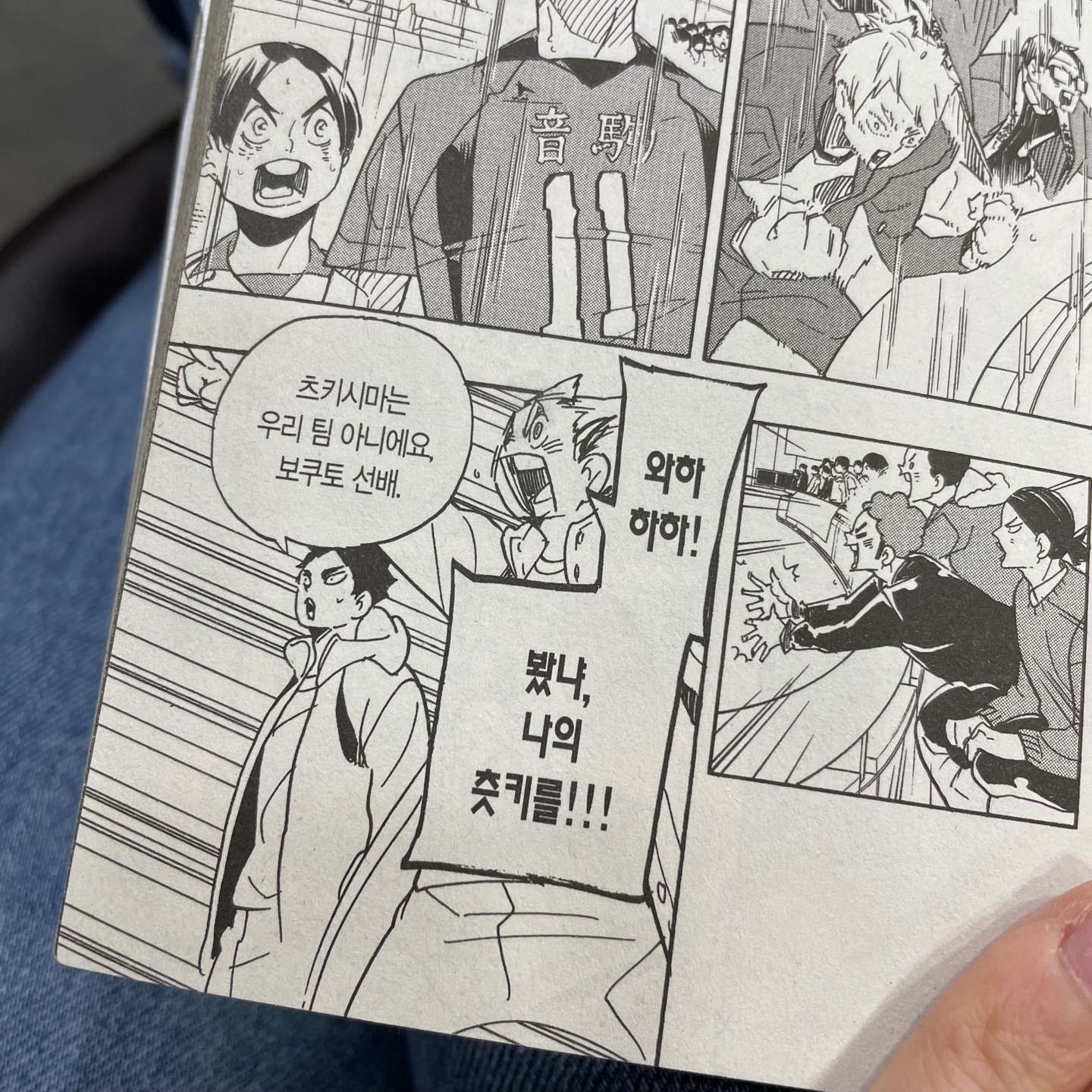 요새 주말마다 하는 것