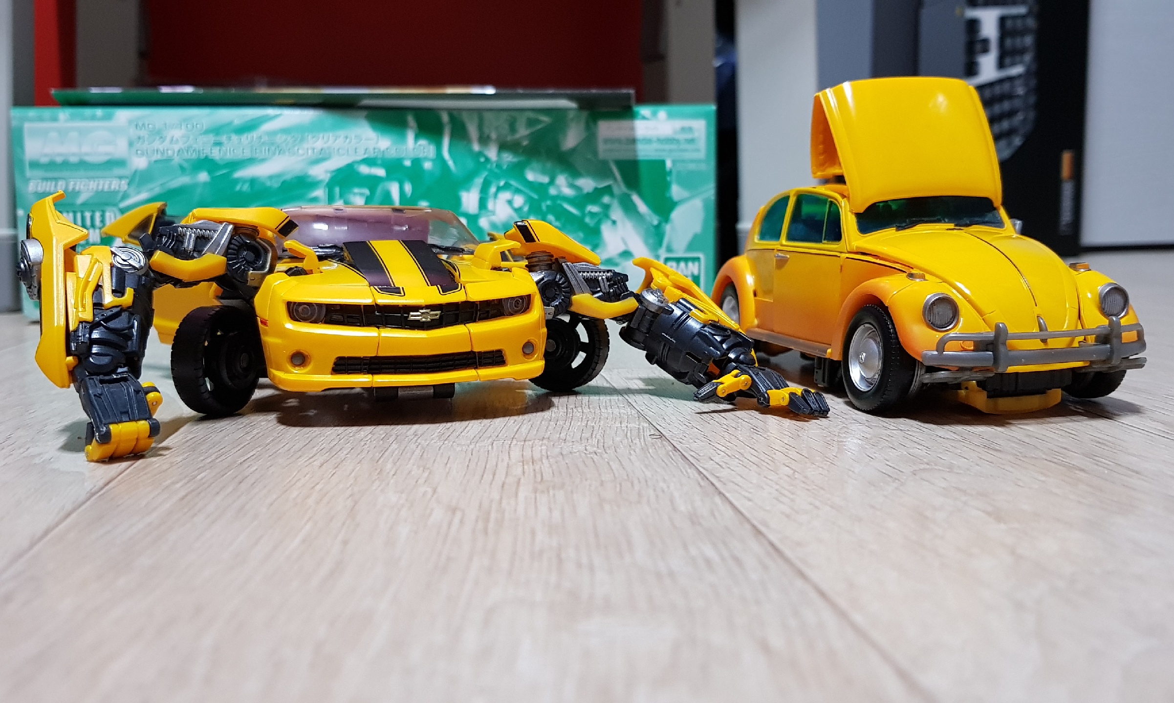 Bumblebees