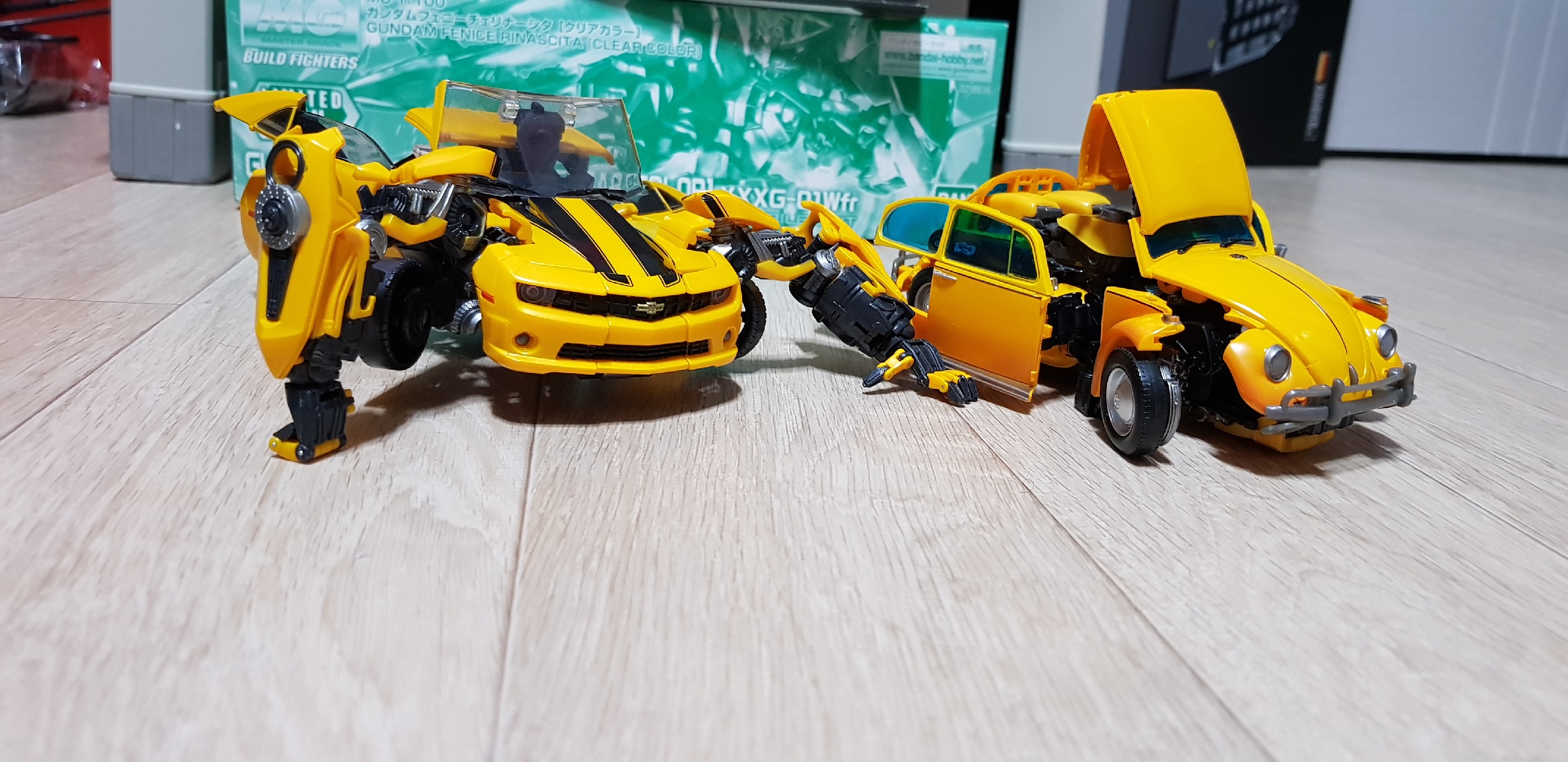 Bumblebees