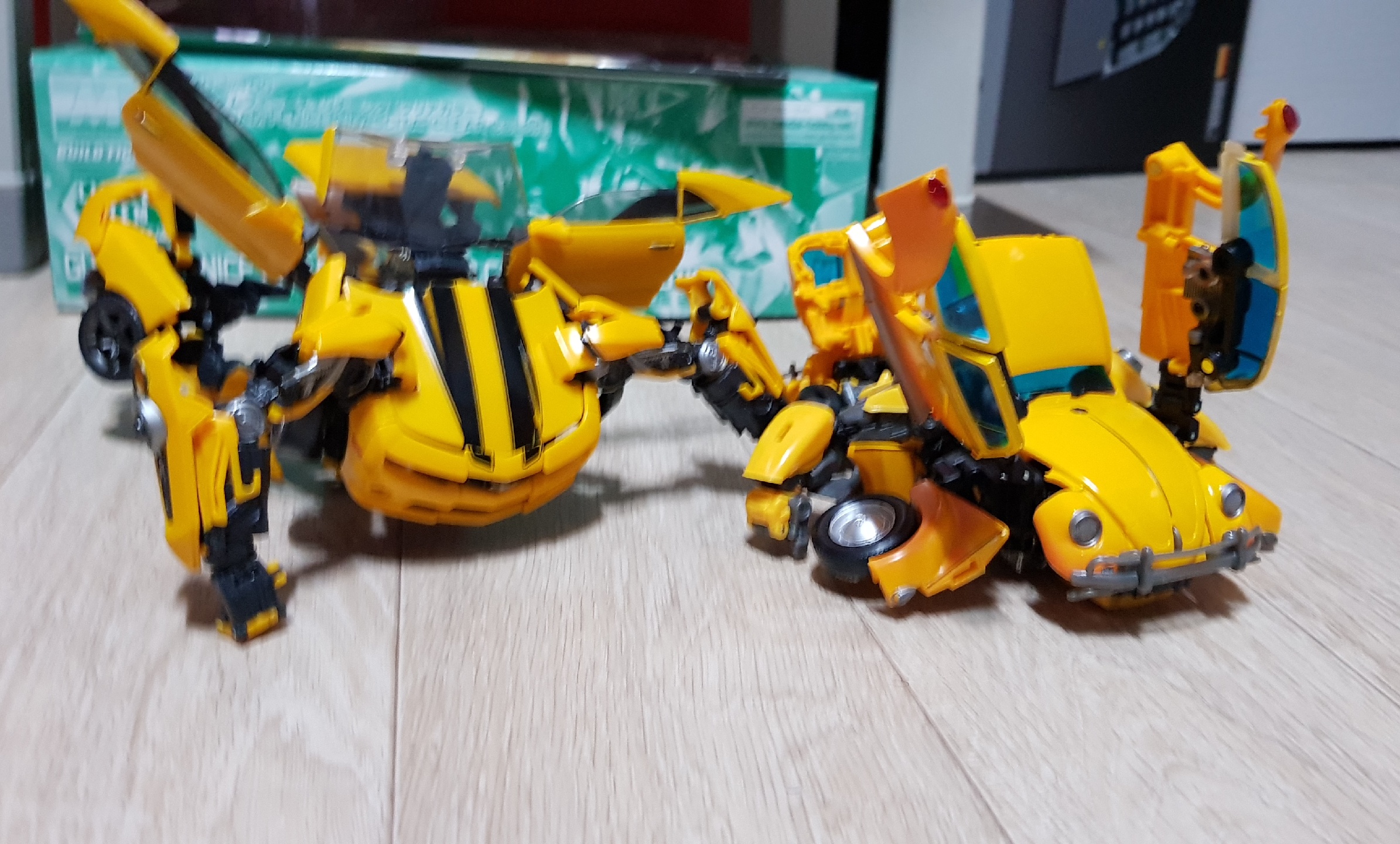 Bumblebees