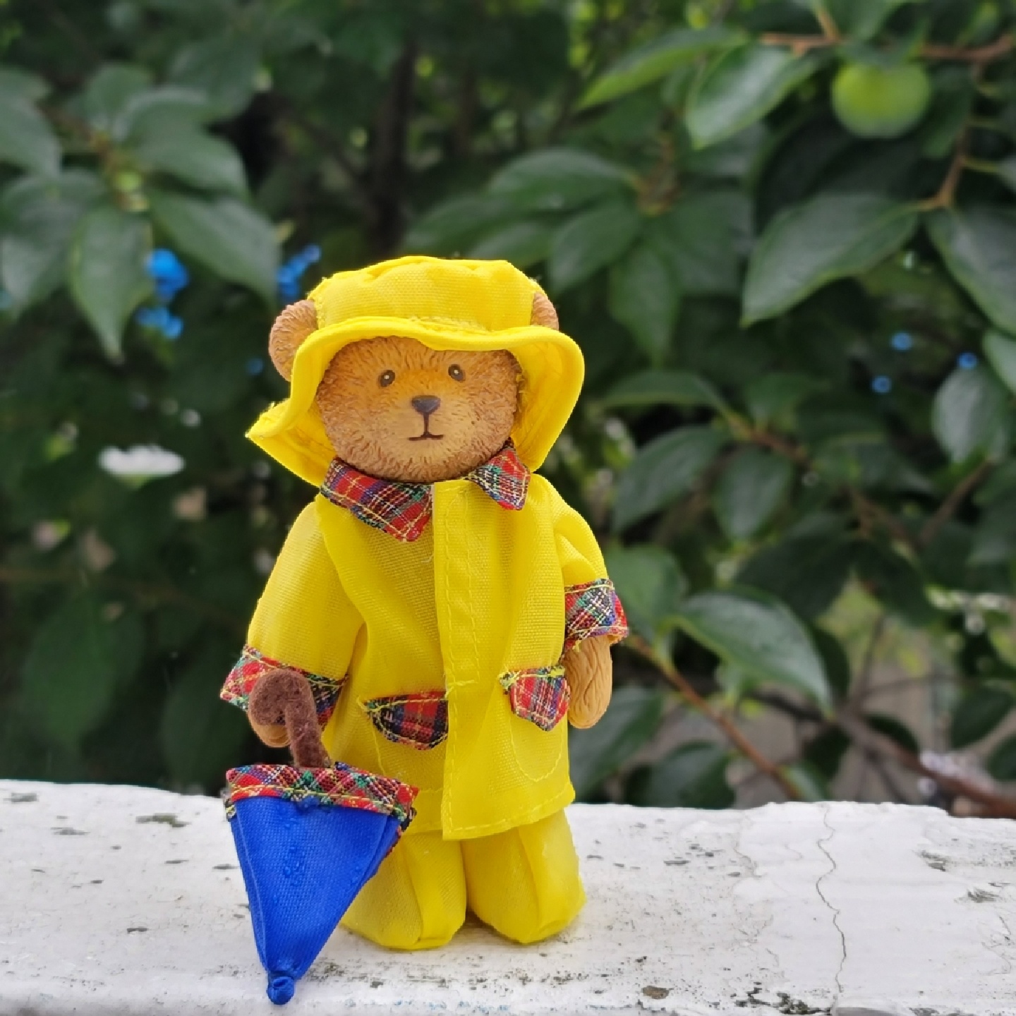 최애곰_비오는 날☔