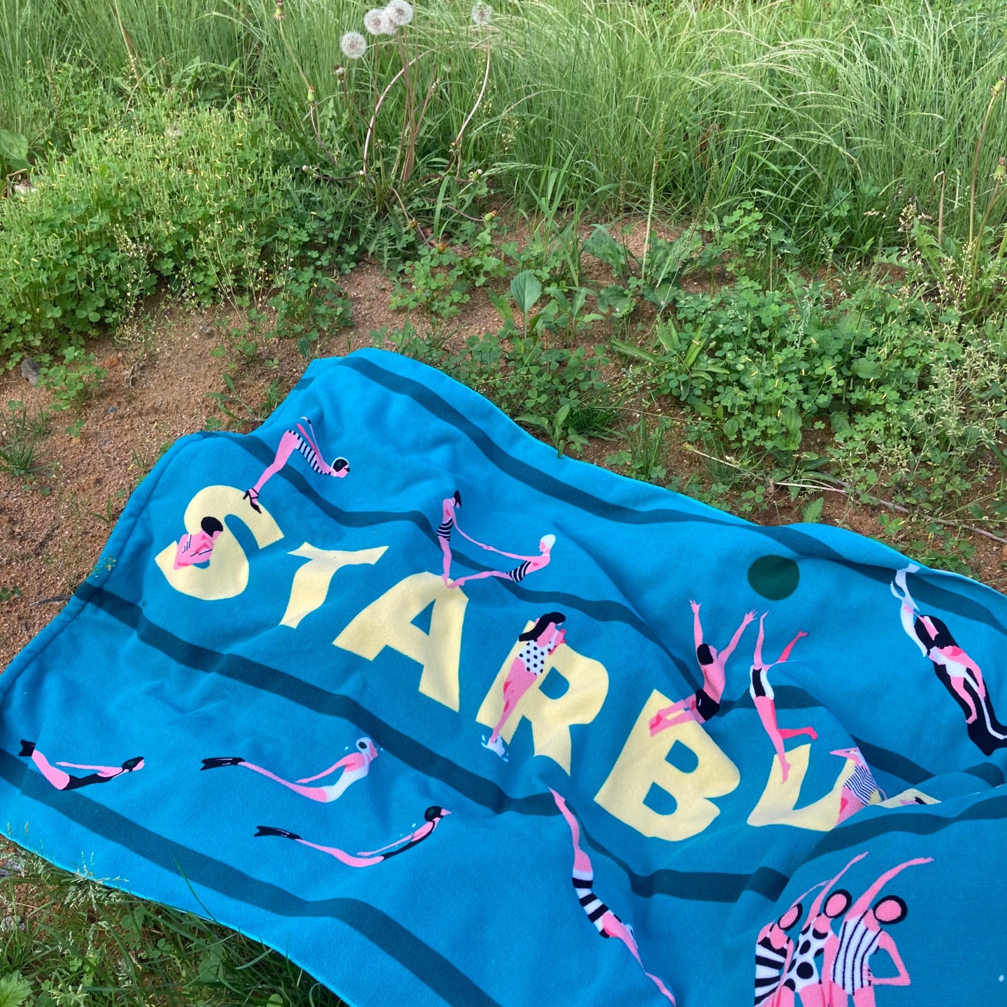 2019 서머 프리퀀시 🏄🏻