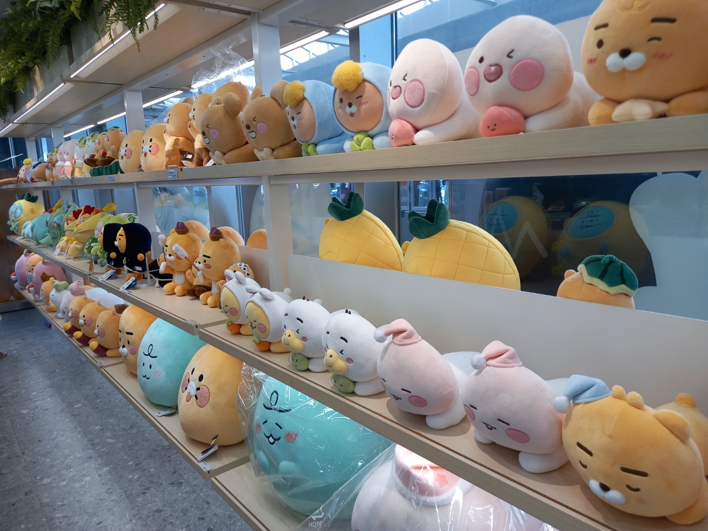 카카오프렌즈샵