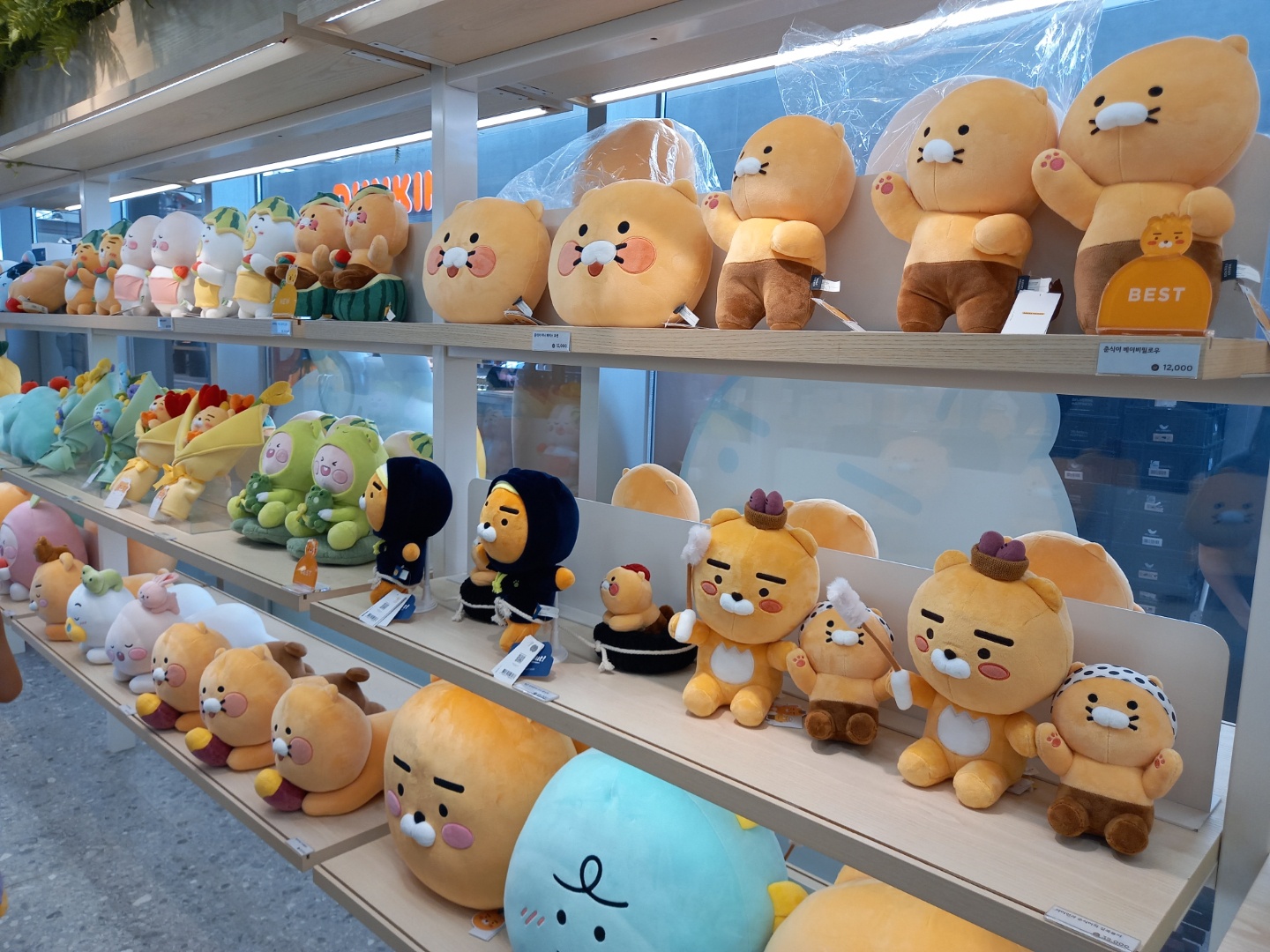 카카오프렌즈샵