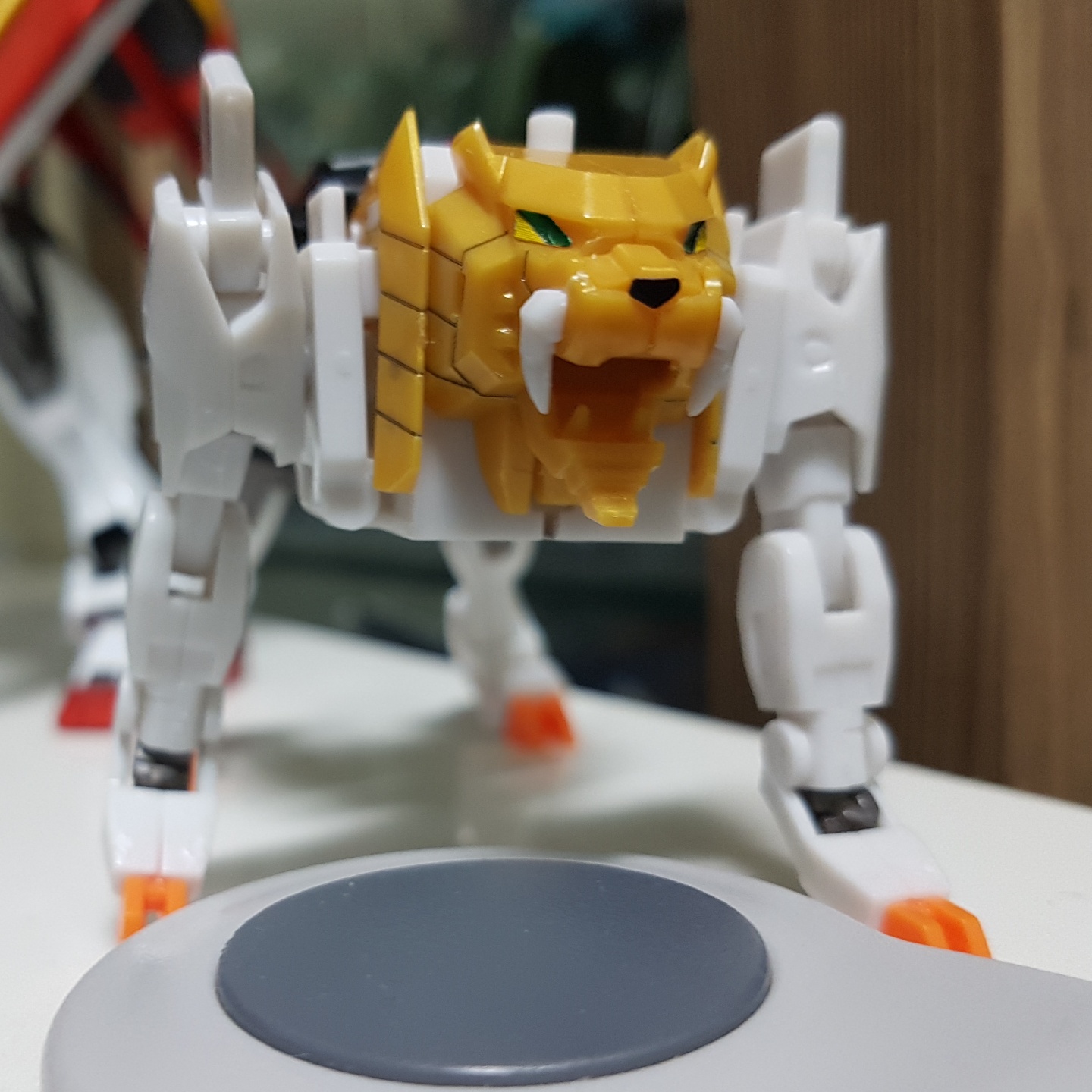 GAOGAIGAR