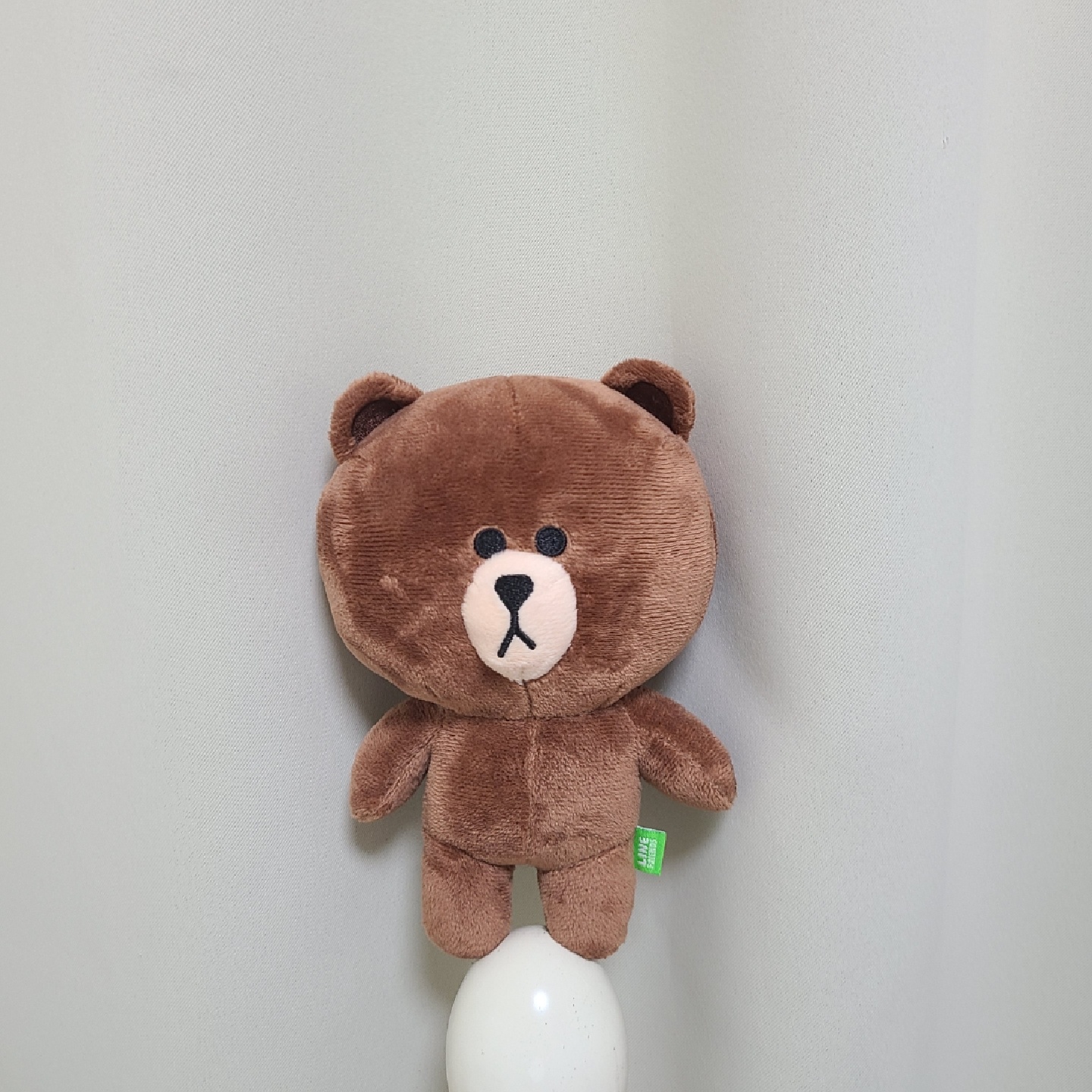 라인프렌즈 브라운