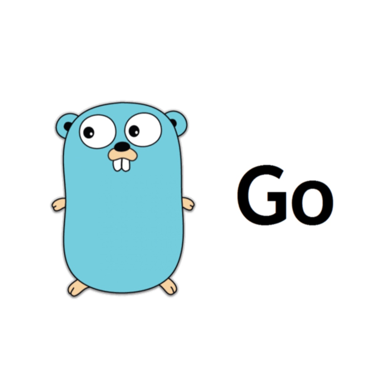 Go Language