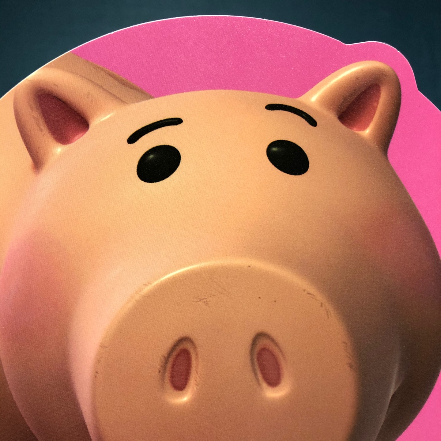여름을 기다리는 이유🐽